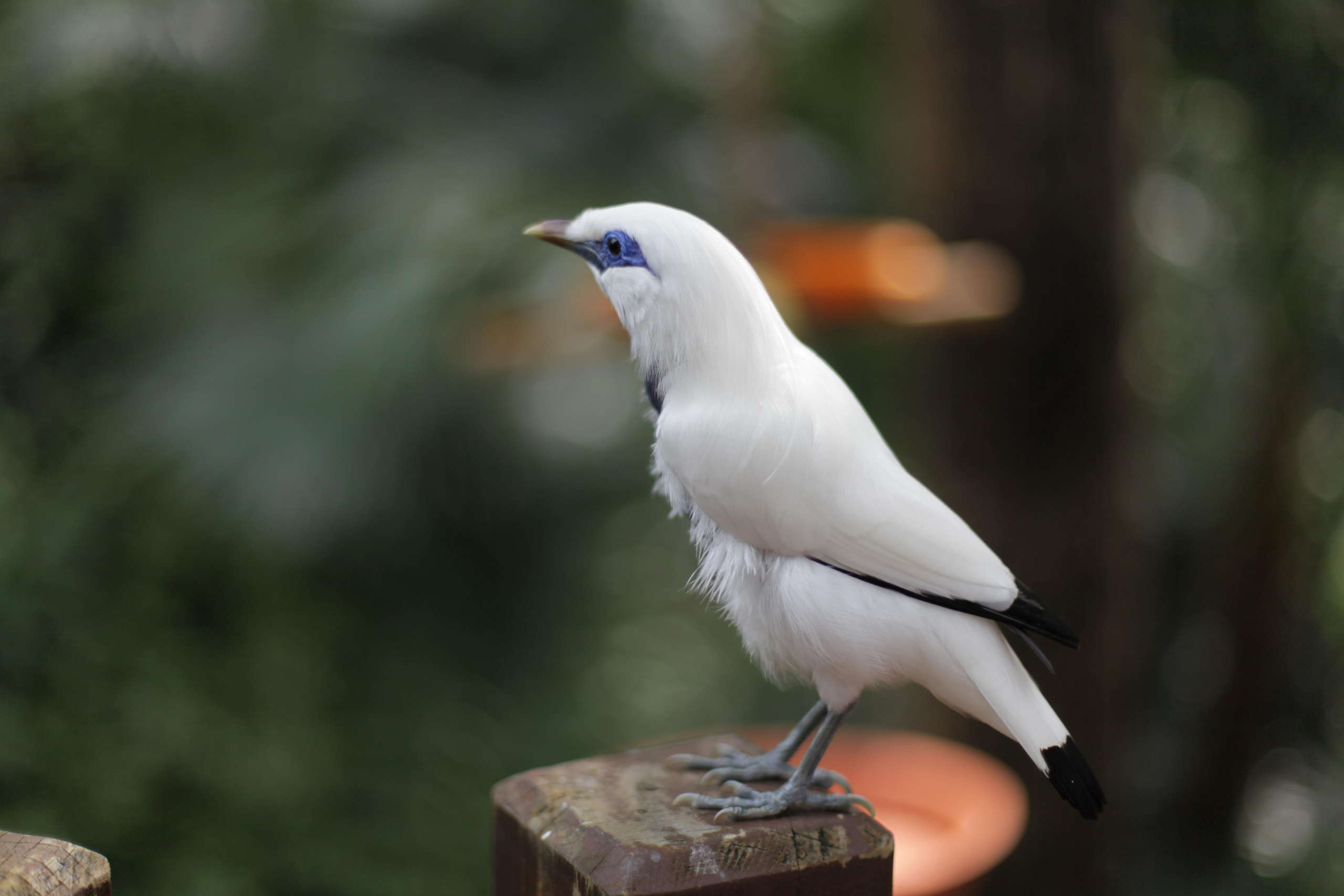 Гон Конг / 2019. Репортажный и портретный фотограф Русакова Жанна