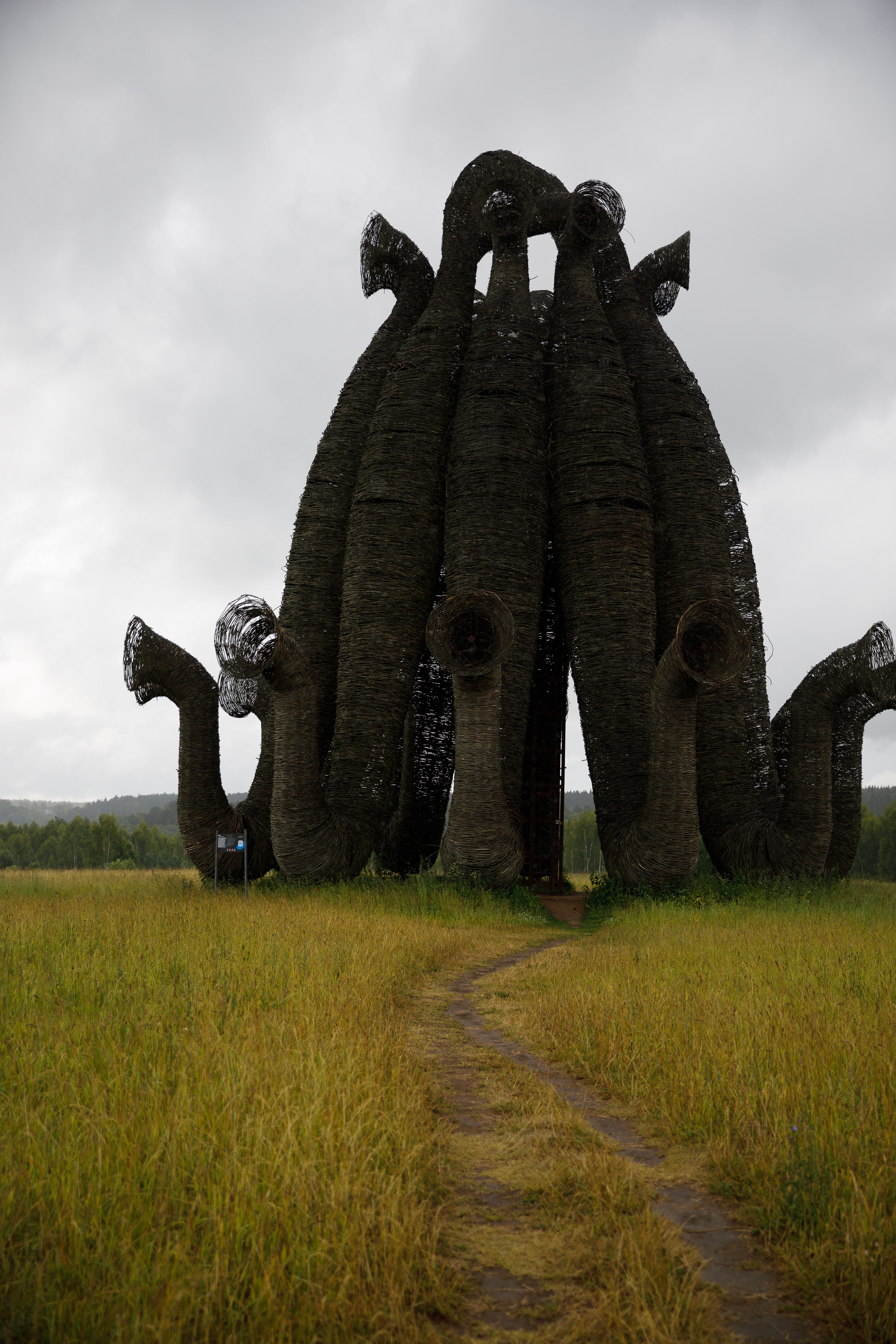 Никола Ленивец / июнь 2023. Репортажный и портретный фотограф Русакова Жанна