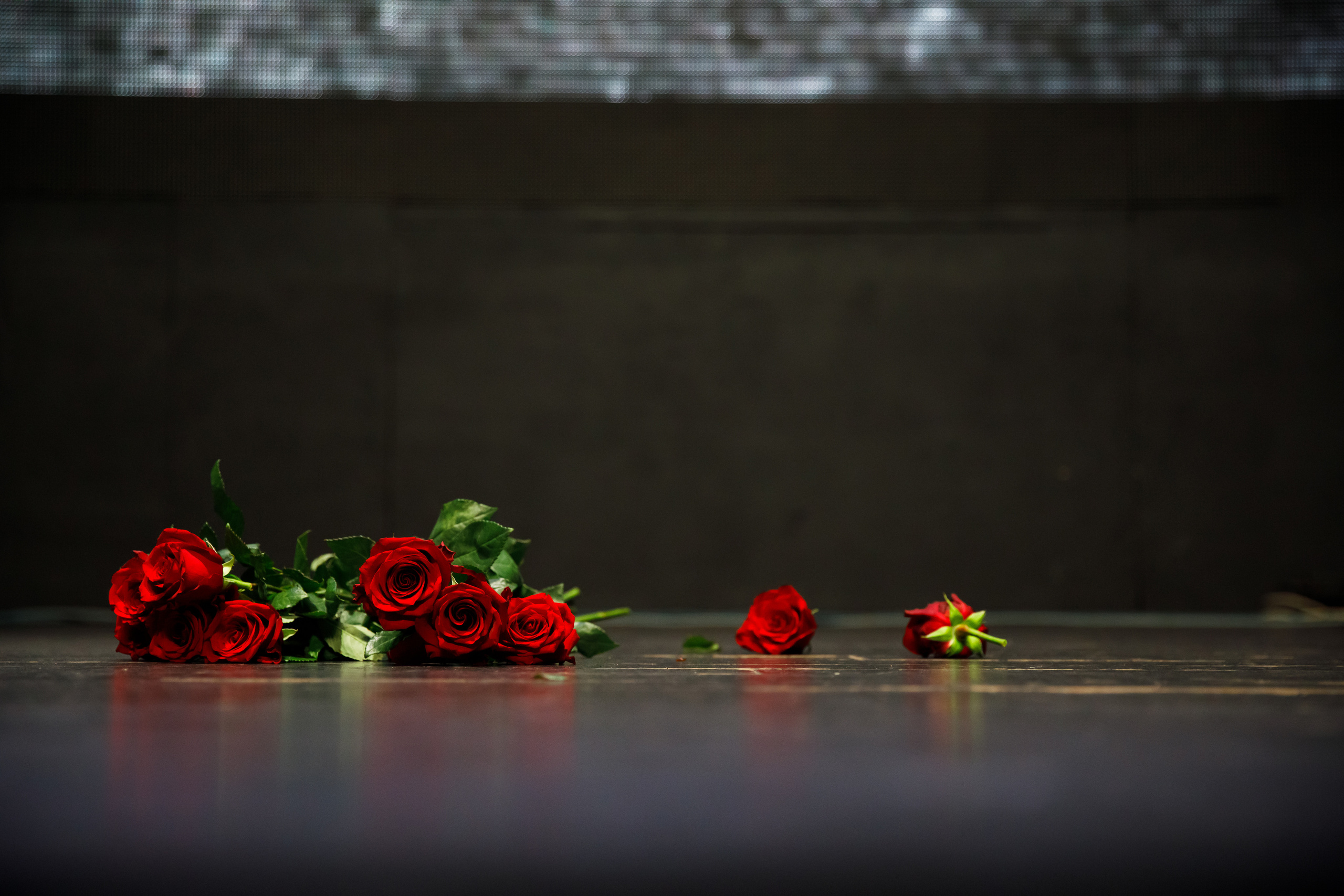 Глеб Самойлов / 23.04.2023 /Известия. Репортажный и портретный фотограф Русакова Жанна