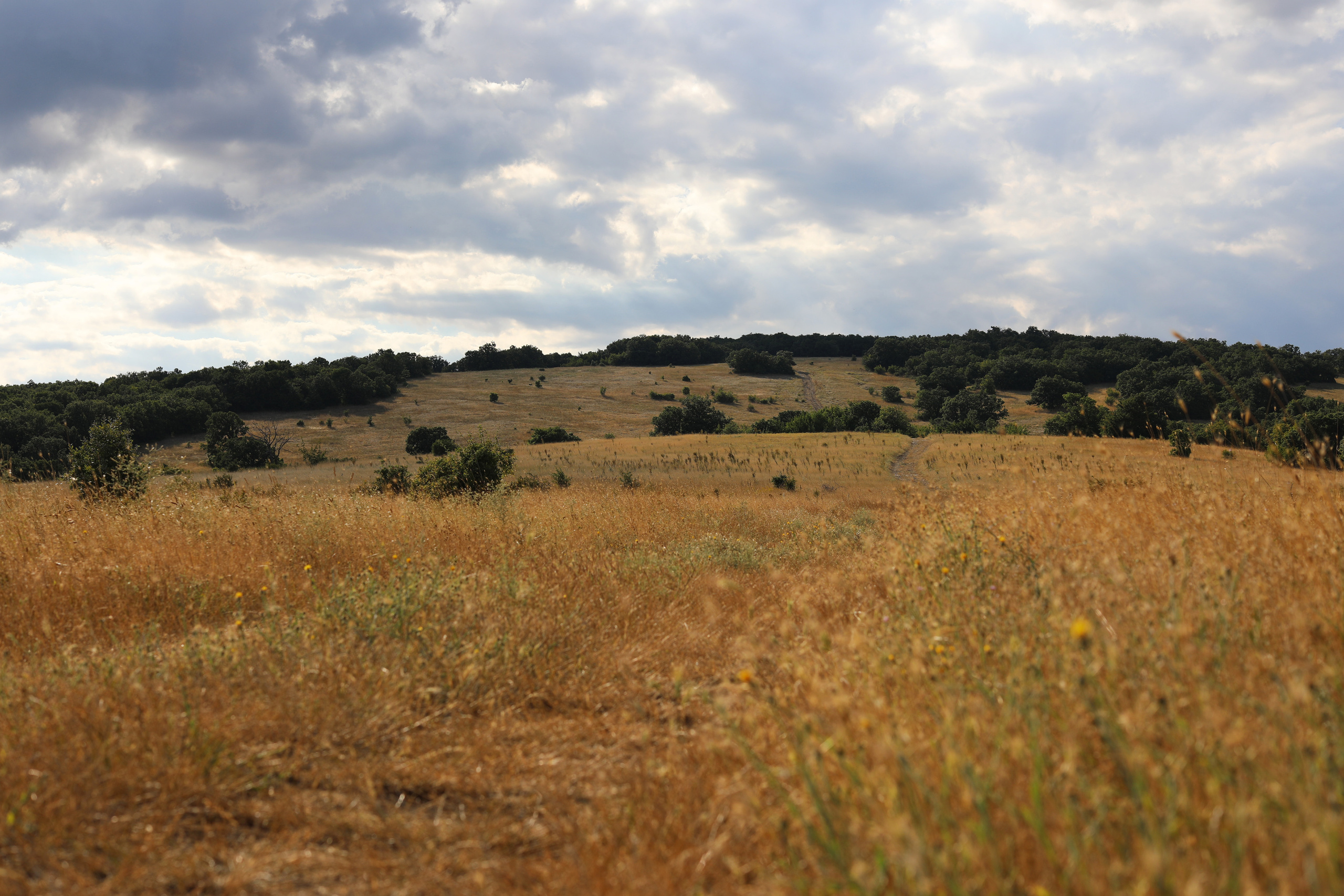 Болгария. Горы / 2022. Репортажный и портретный фотограф Русакова Жанна