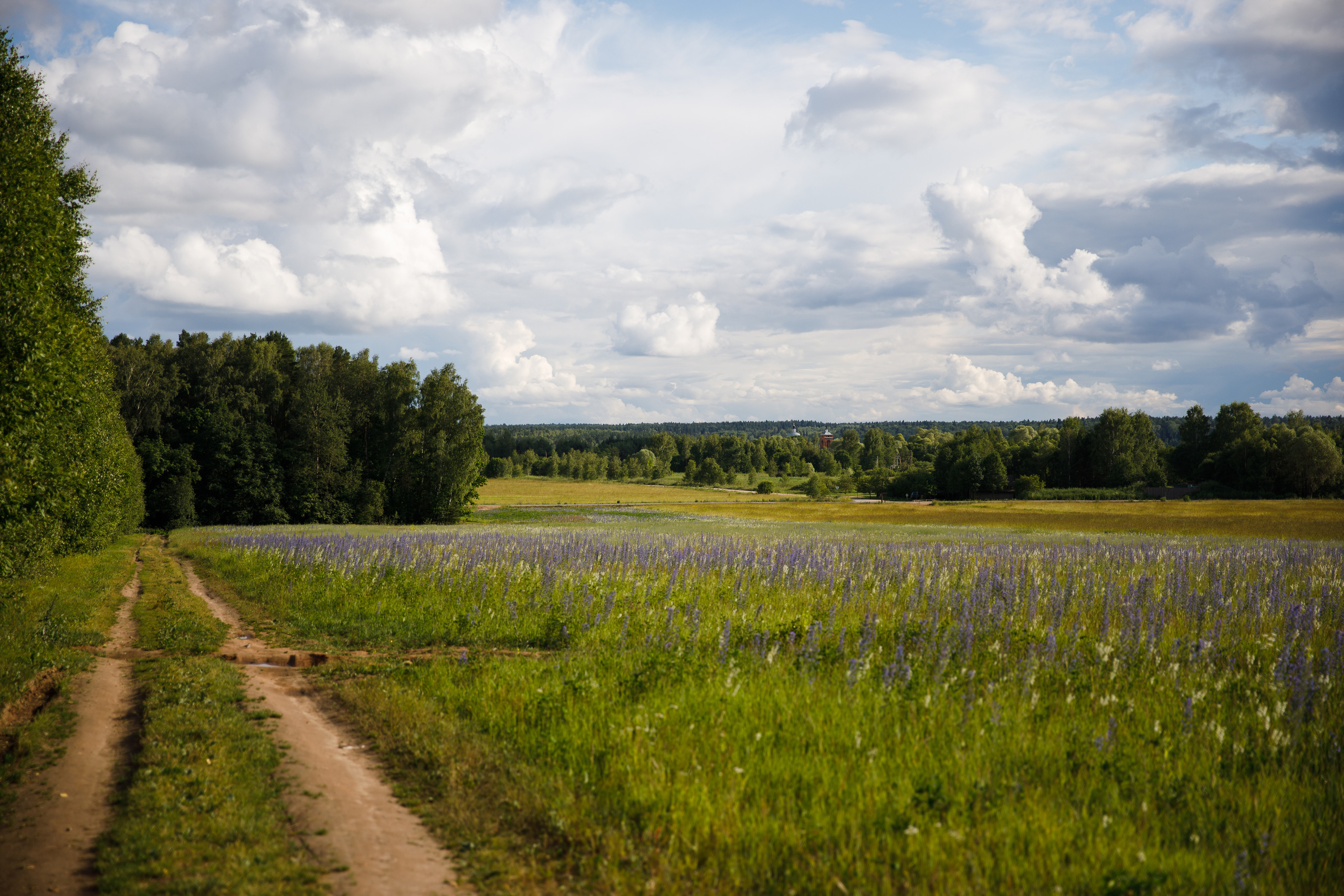 Никола Ленивец / июнь 2023. Репортажный и портретный фотограф Русакова Жанна