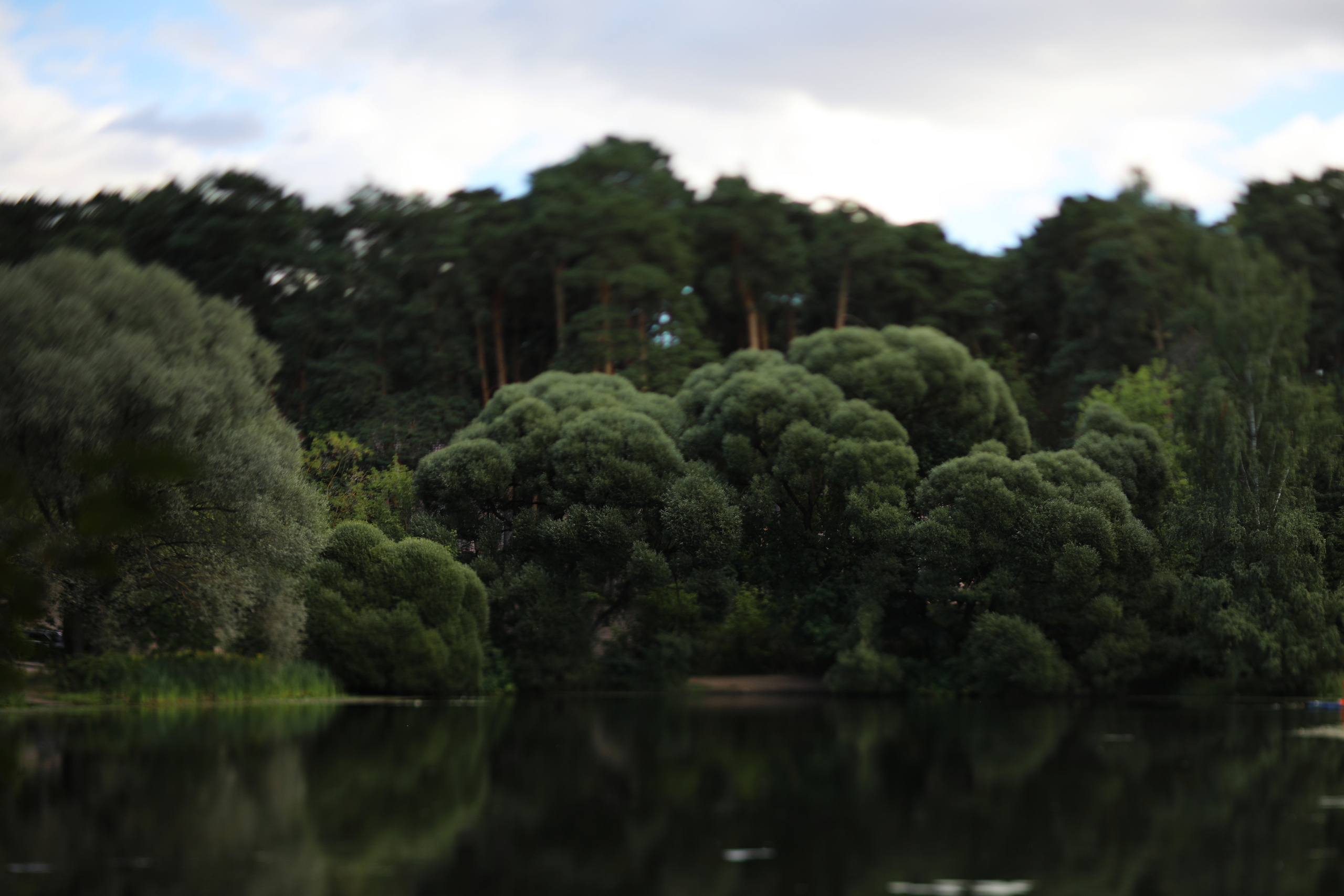 Серебряный бор / 2022. Репортажный и портретный фотограф Русакова Жанна