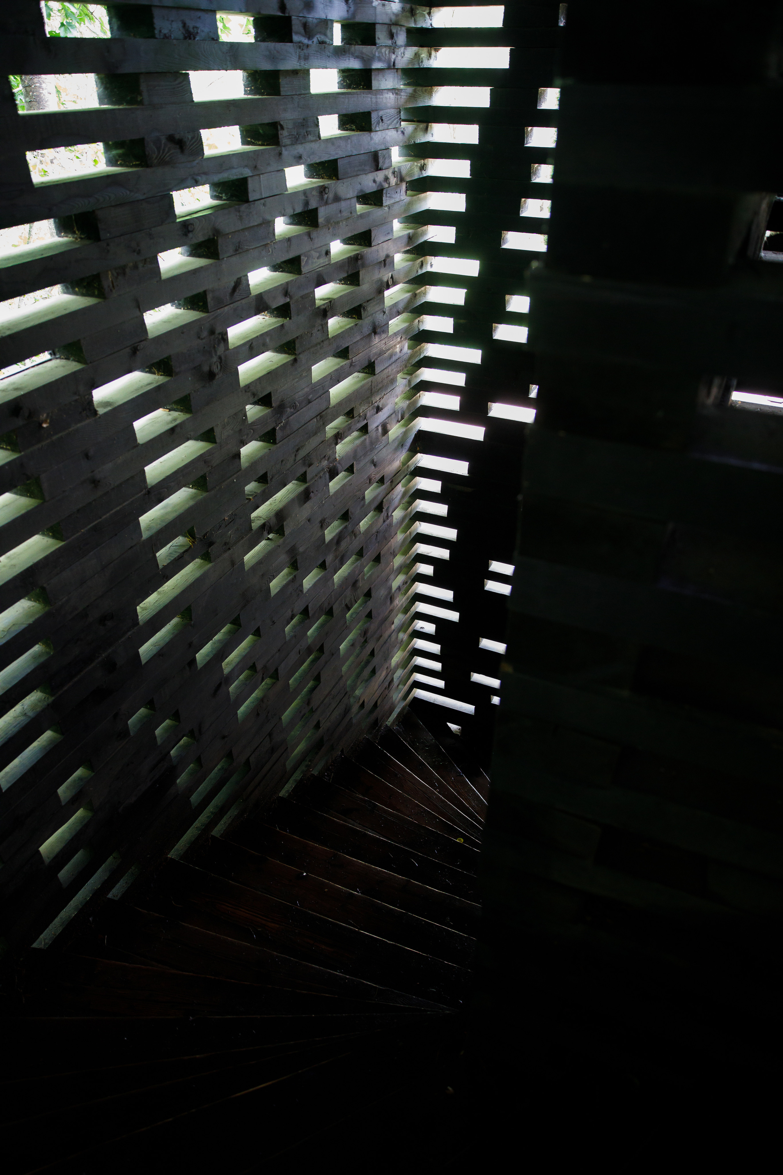 Никола Ленивец / июнь 2023. Репортажный и портретный фотограф Русакова Жанна