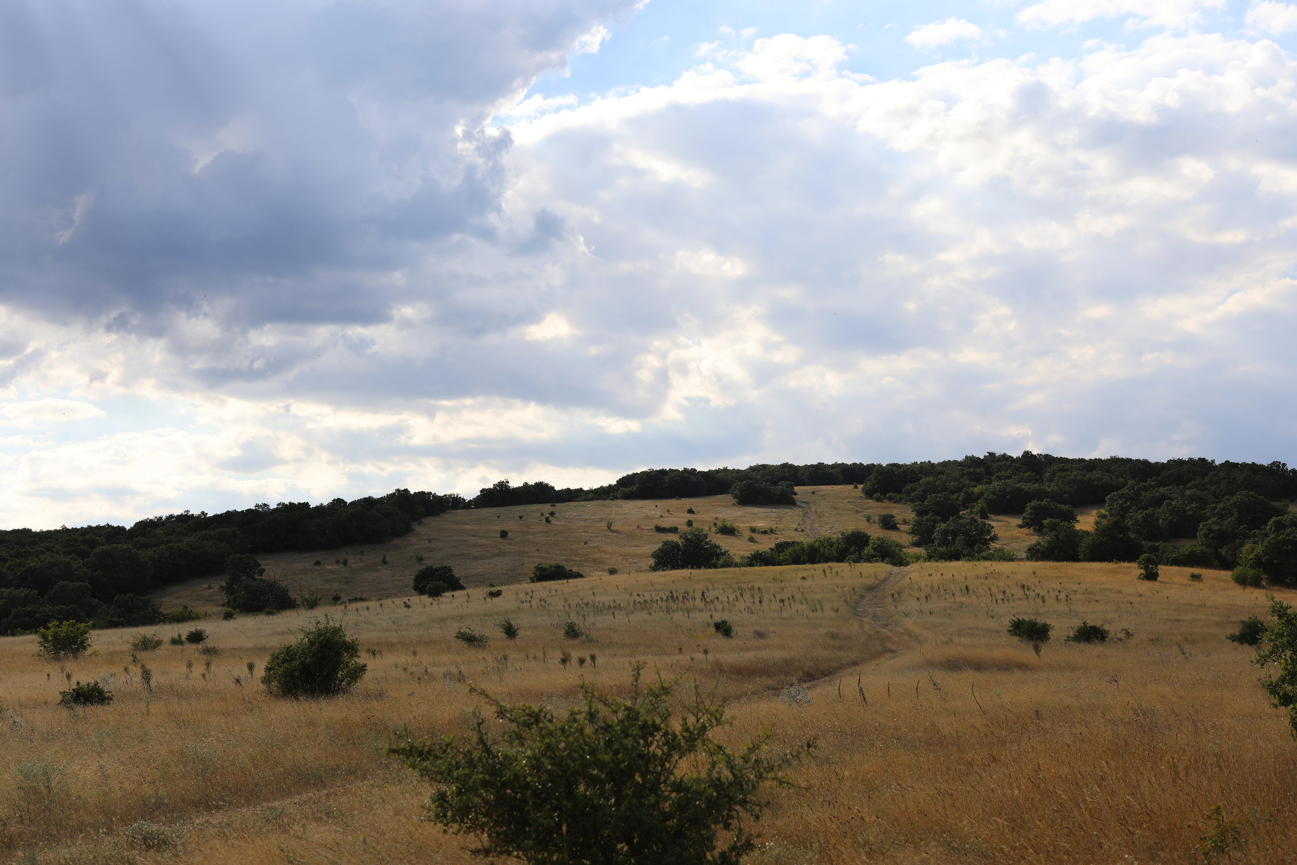 Болгария. Горы / 2022. Репортажный и портретный фотограф Русакова Жанна