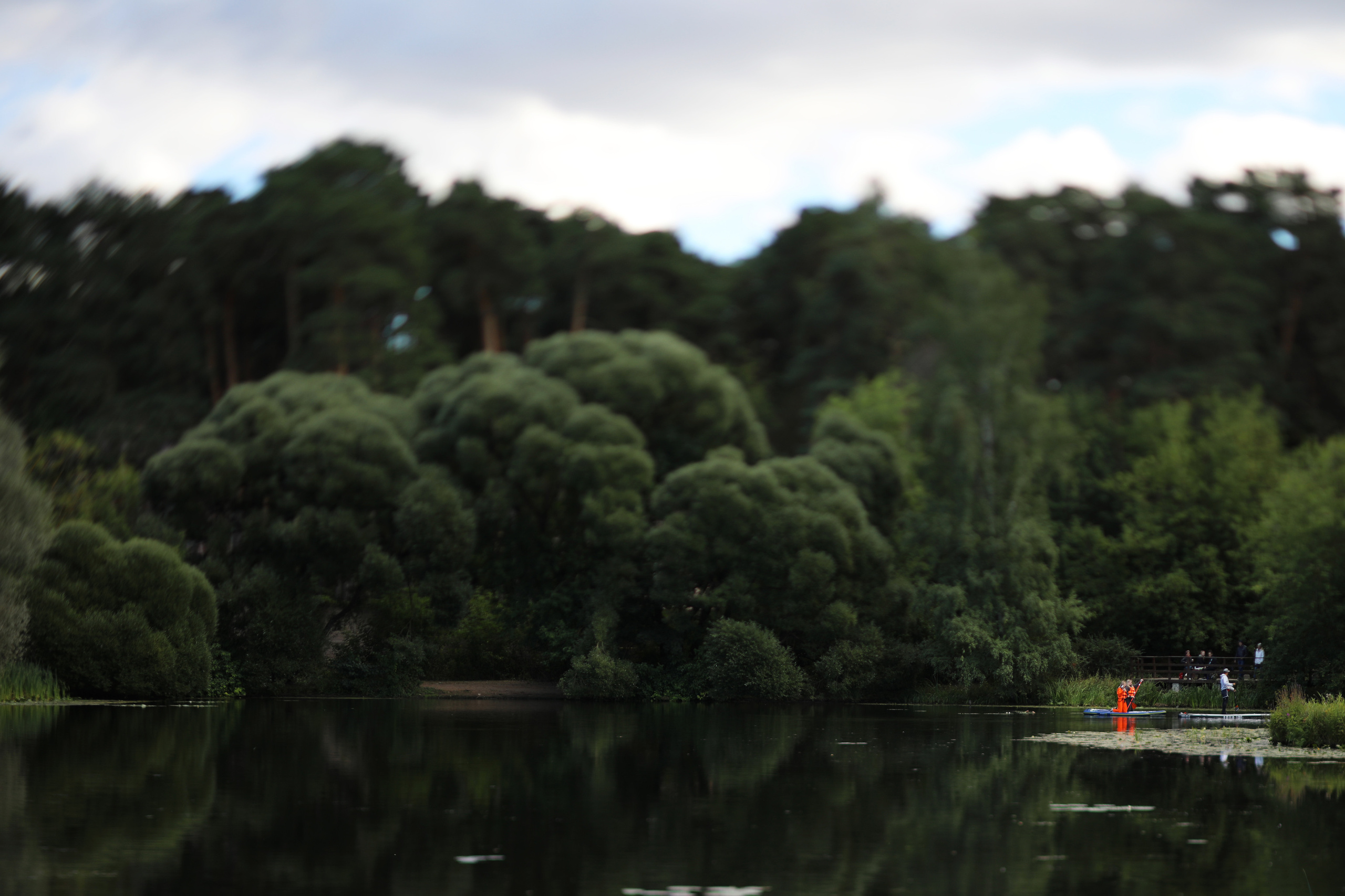 Серебряный бор / 2022. Репортажный и портретный фотограф Русакова Жанна