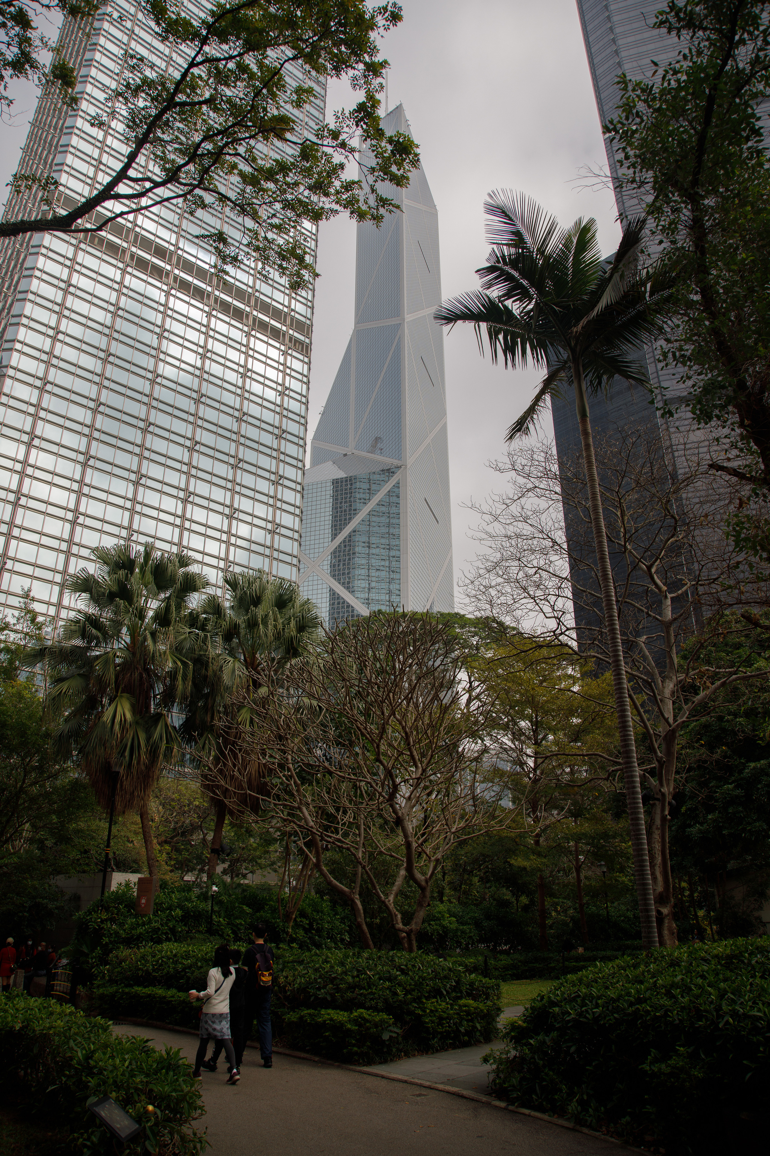 Гон Конг. Зеленый город. Репортажный и портретный фотограф Русакова Жанна