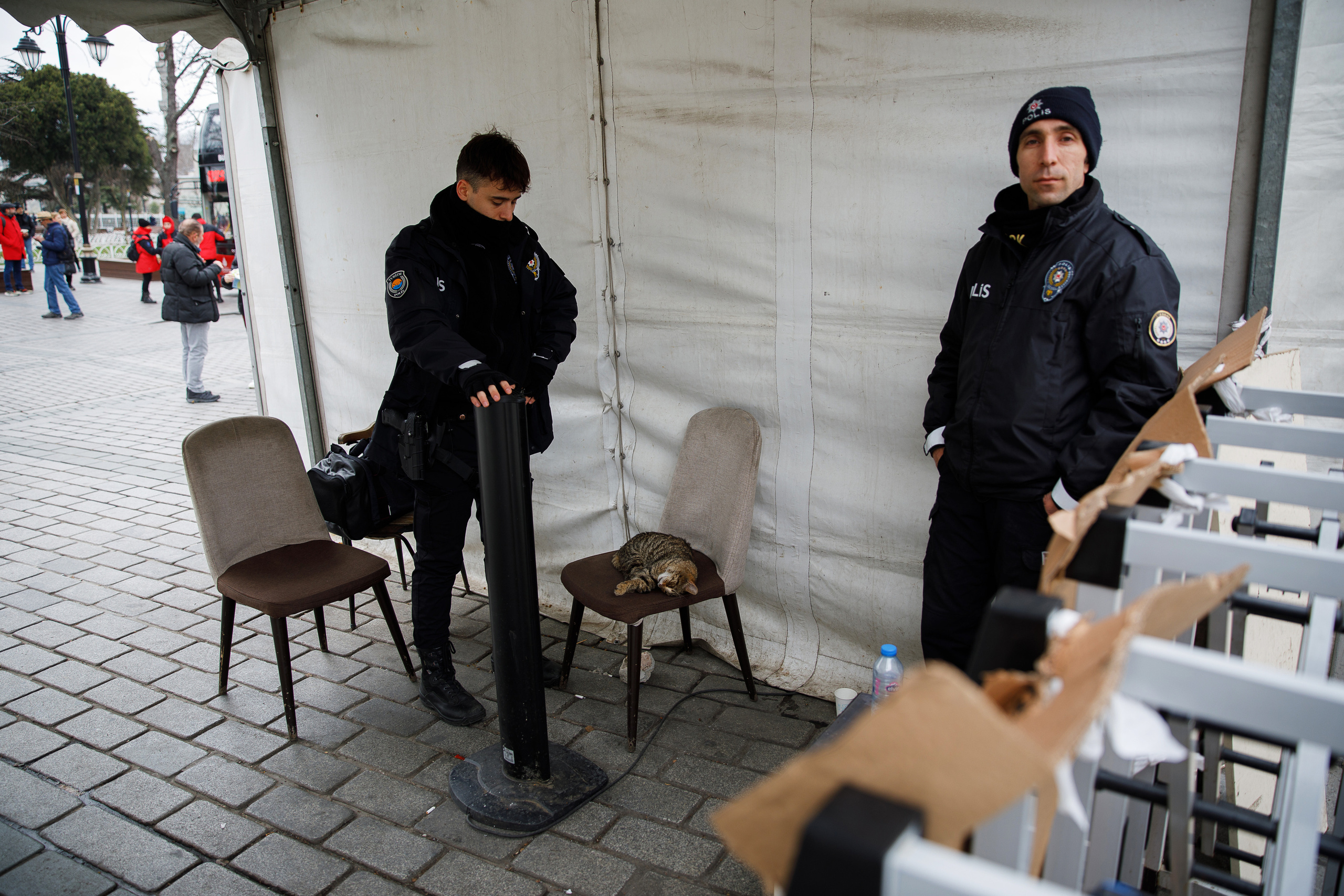 Стамбул. Город кошек. Репортажный и портретный фотограф Русакова Жанна