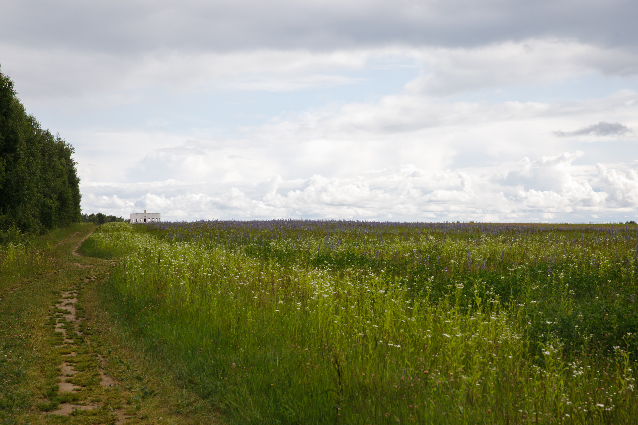 Никола Ленивец / июнь 2023. Репортажный и портретный фотограф Русакова Жанна