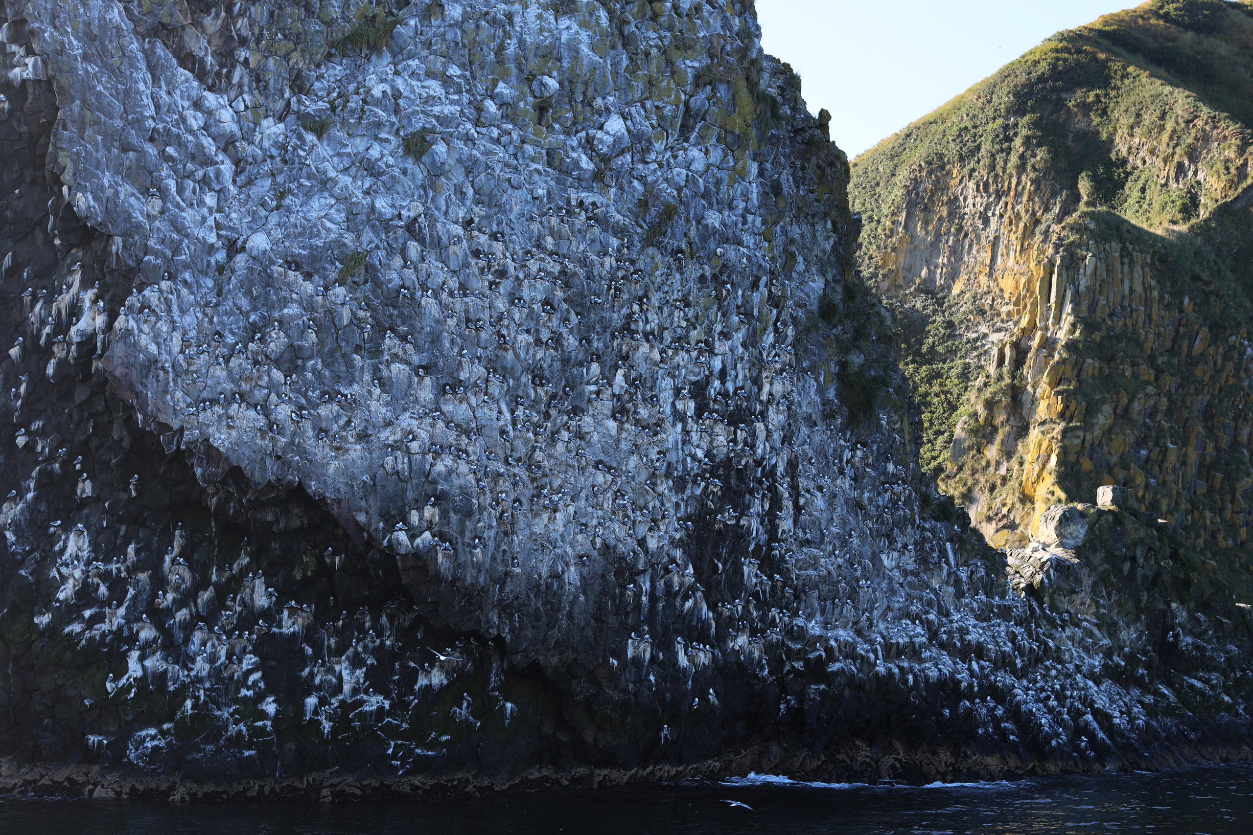 Камчатка. Океан. Репортажный и портретный фотограф Русакова Жанна