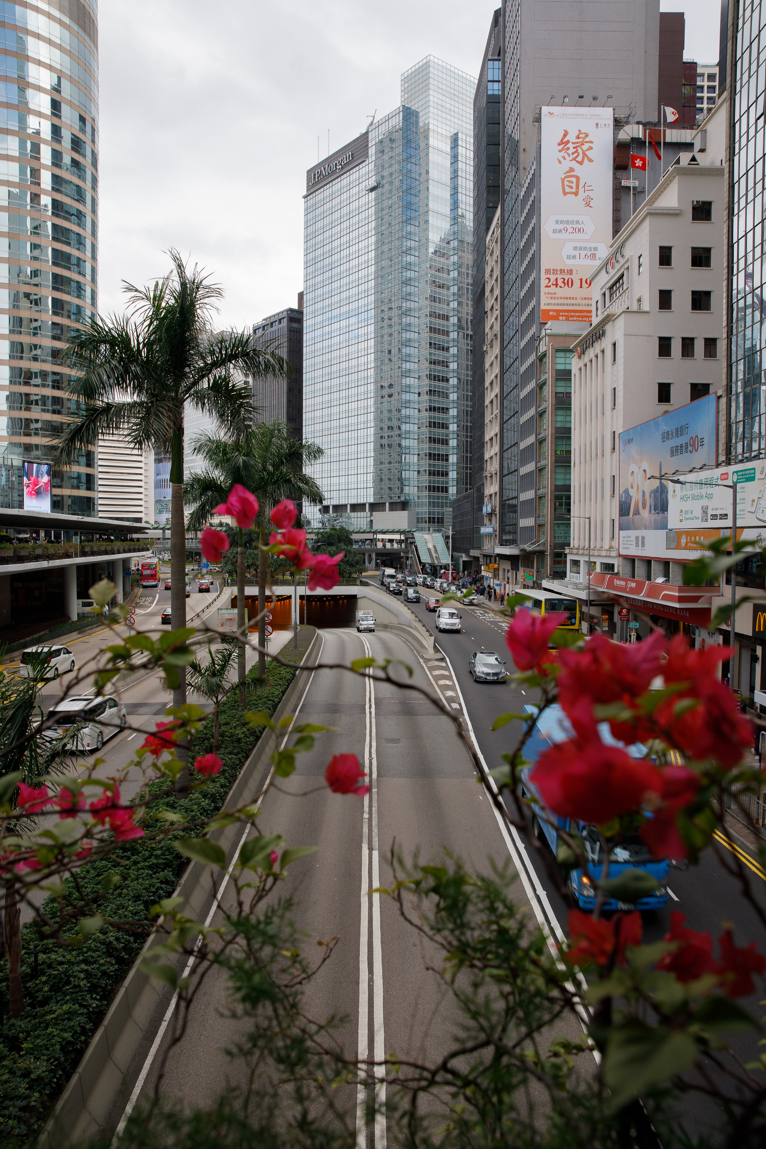 Гон Конг. Зеленый город. Репортажный и портретный фотограф Русакова Жанна