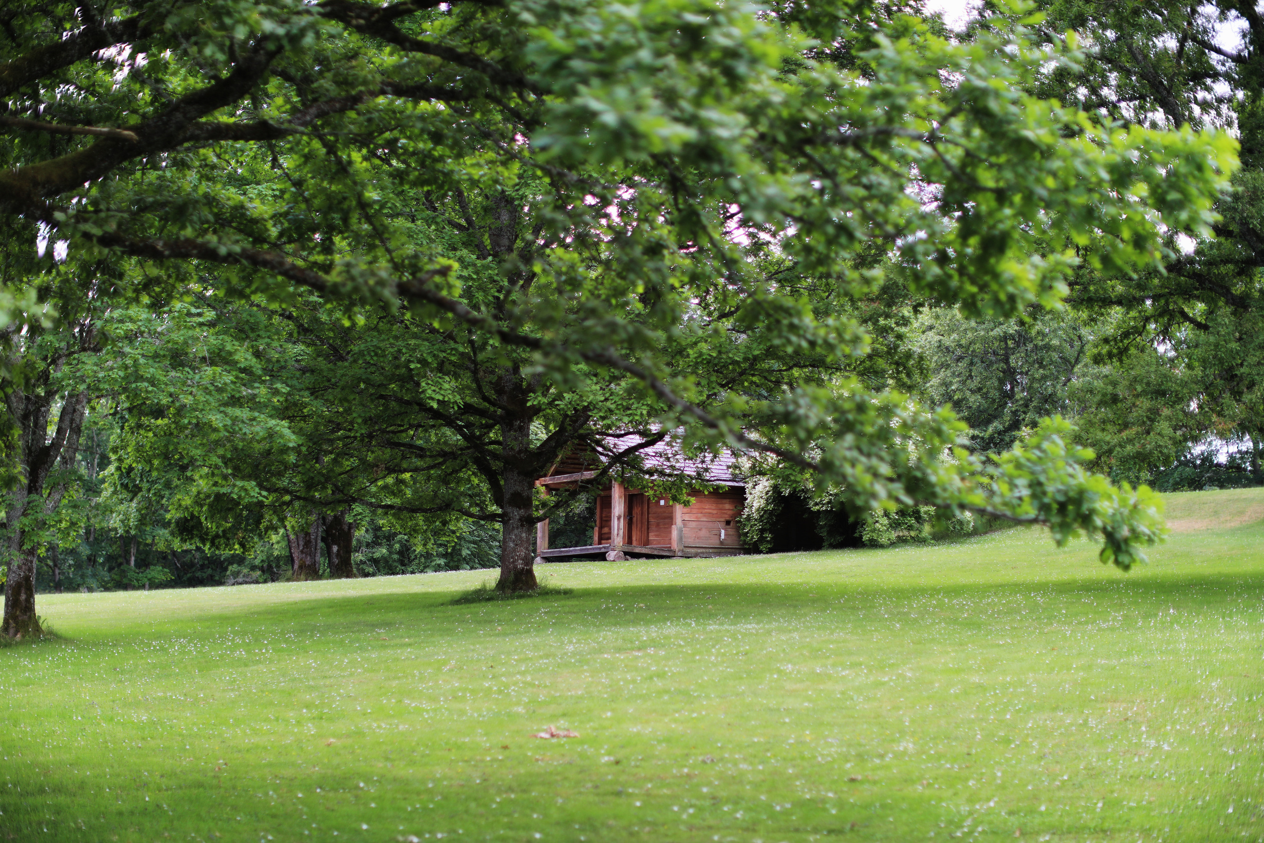 Латвия. Сигулда / 2022. Репортажный и портретный фотограф Русакова Жанна