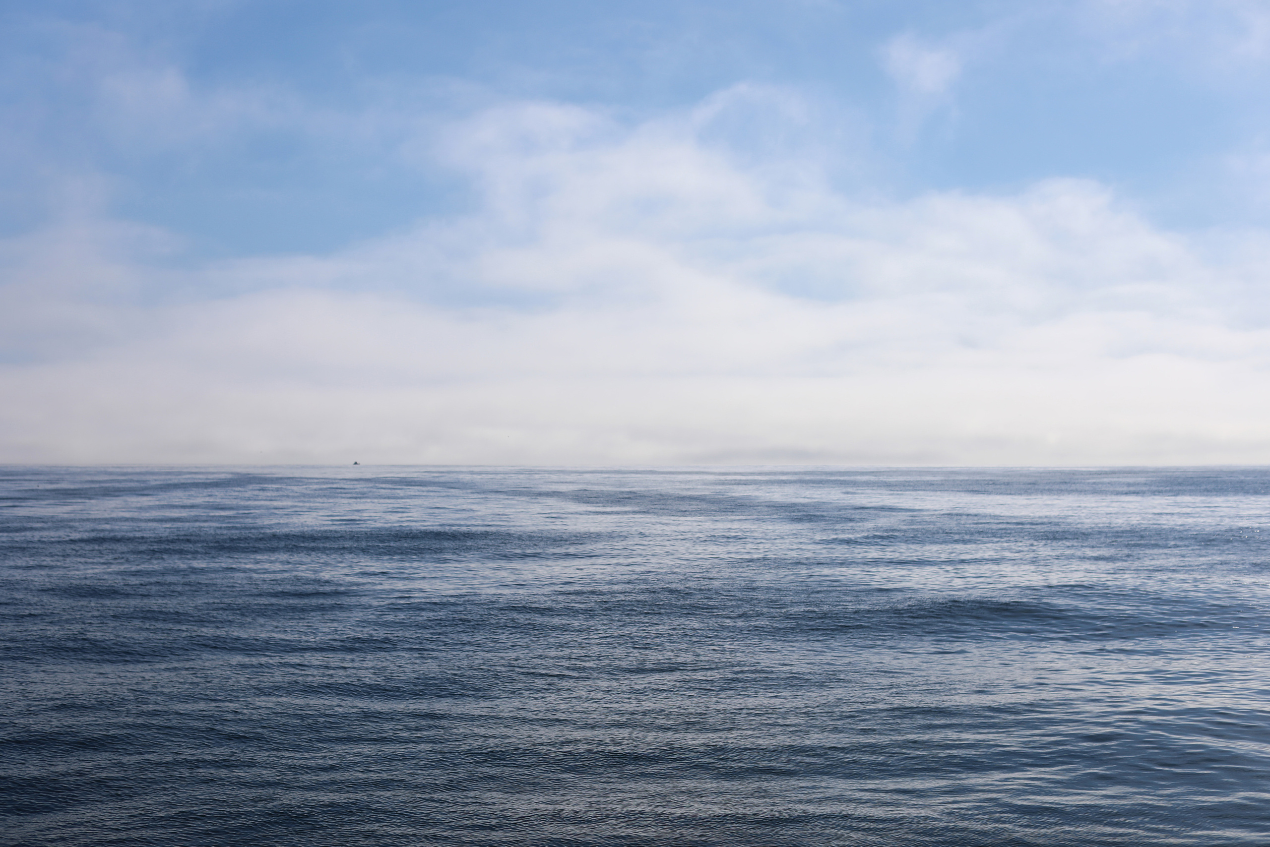 Камчатка. Океан. Репортажный и портретный фотограф Русакова Жанна