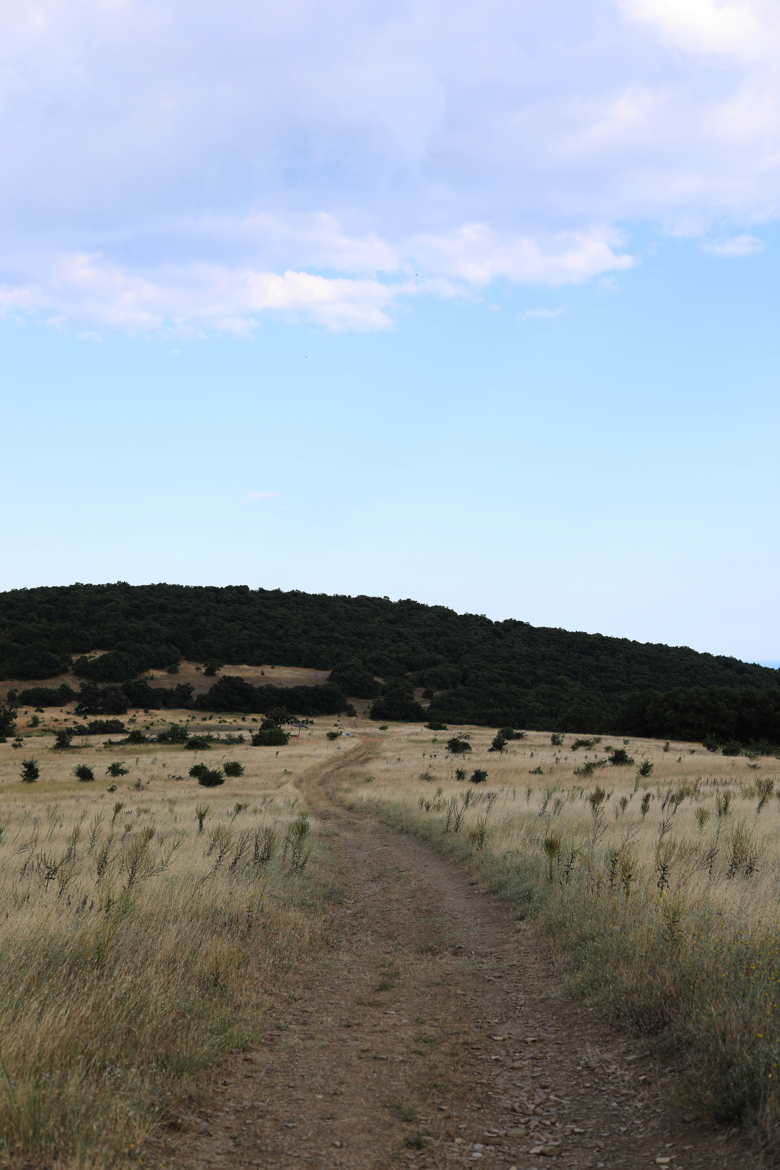 Болгария. Горы / 2022. Репортажный и портретный фотограф Русакова Жанна