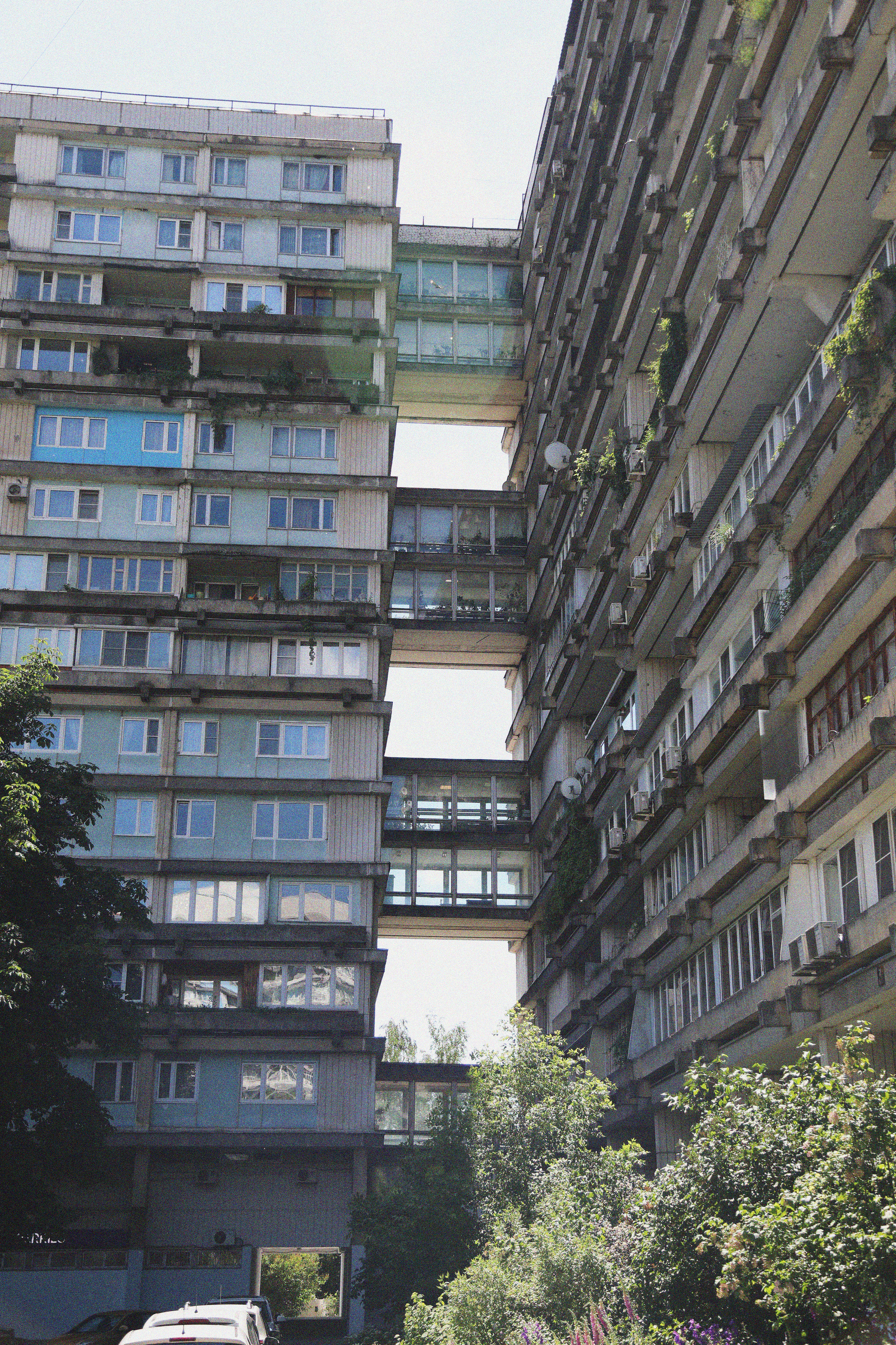 Полина. Репортажный и портретный фотограф Русакова Жанна