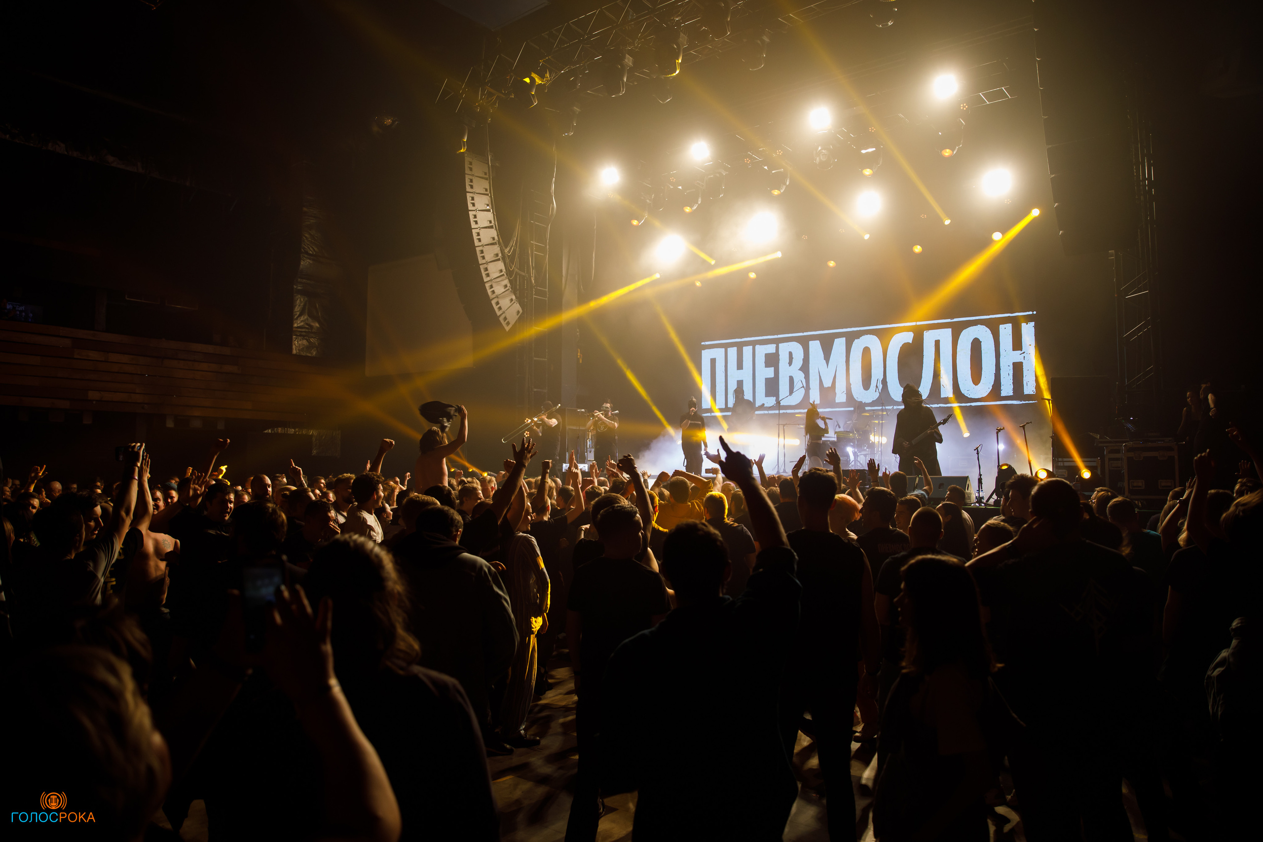 Wild Energy Fest /09.06.2023/ Base. Репортажный и портретный фотограф Русакова Жанна