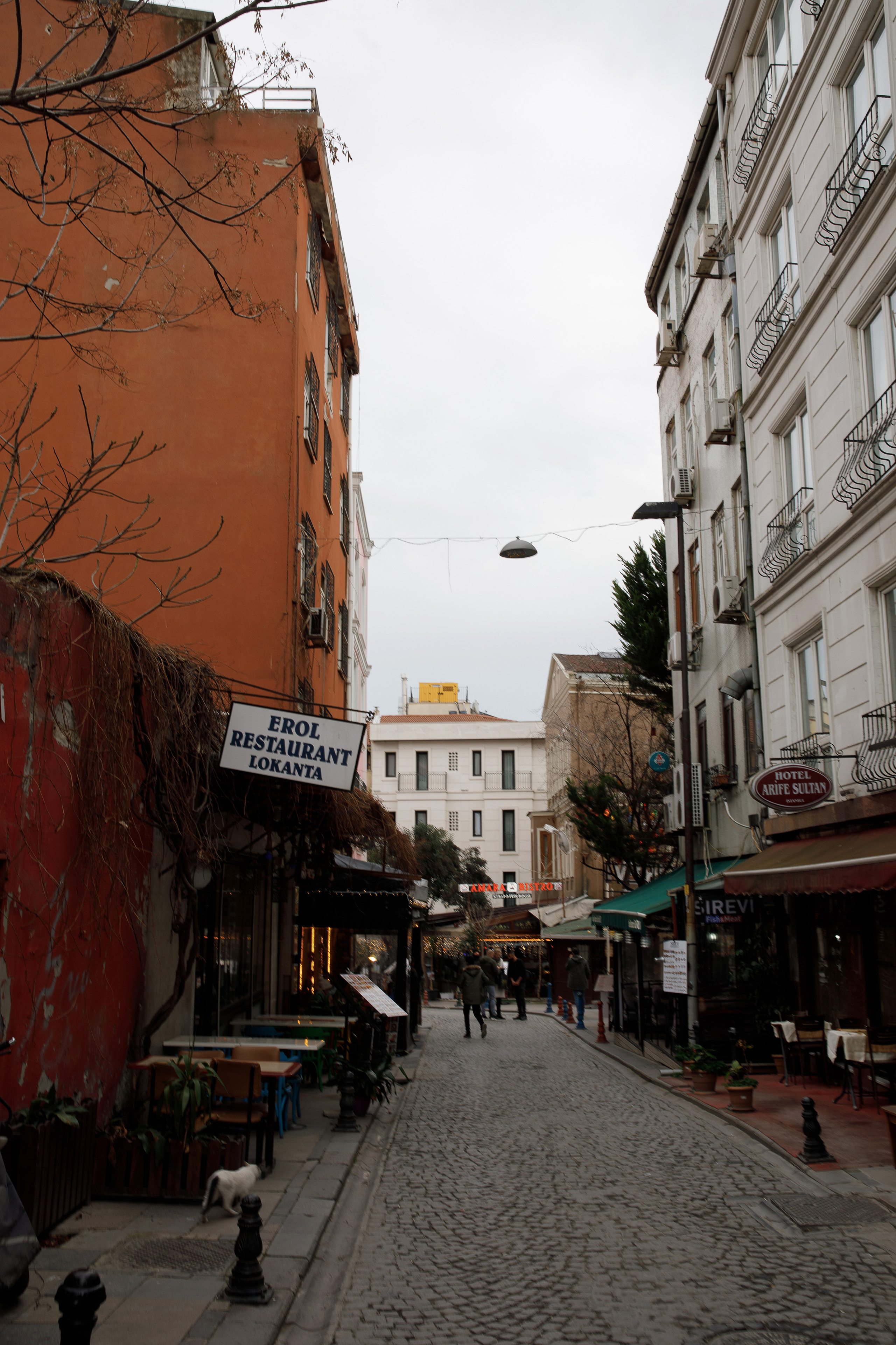 Стамбул. Город кошек. Репортажный и портретный фотограф Русакова Жанна