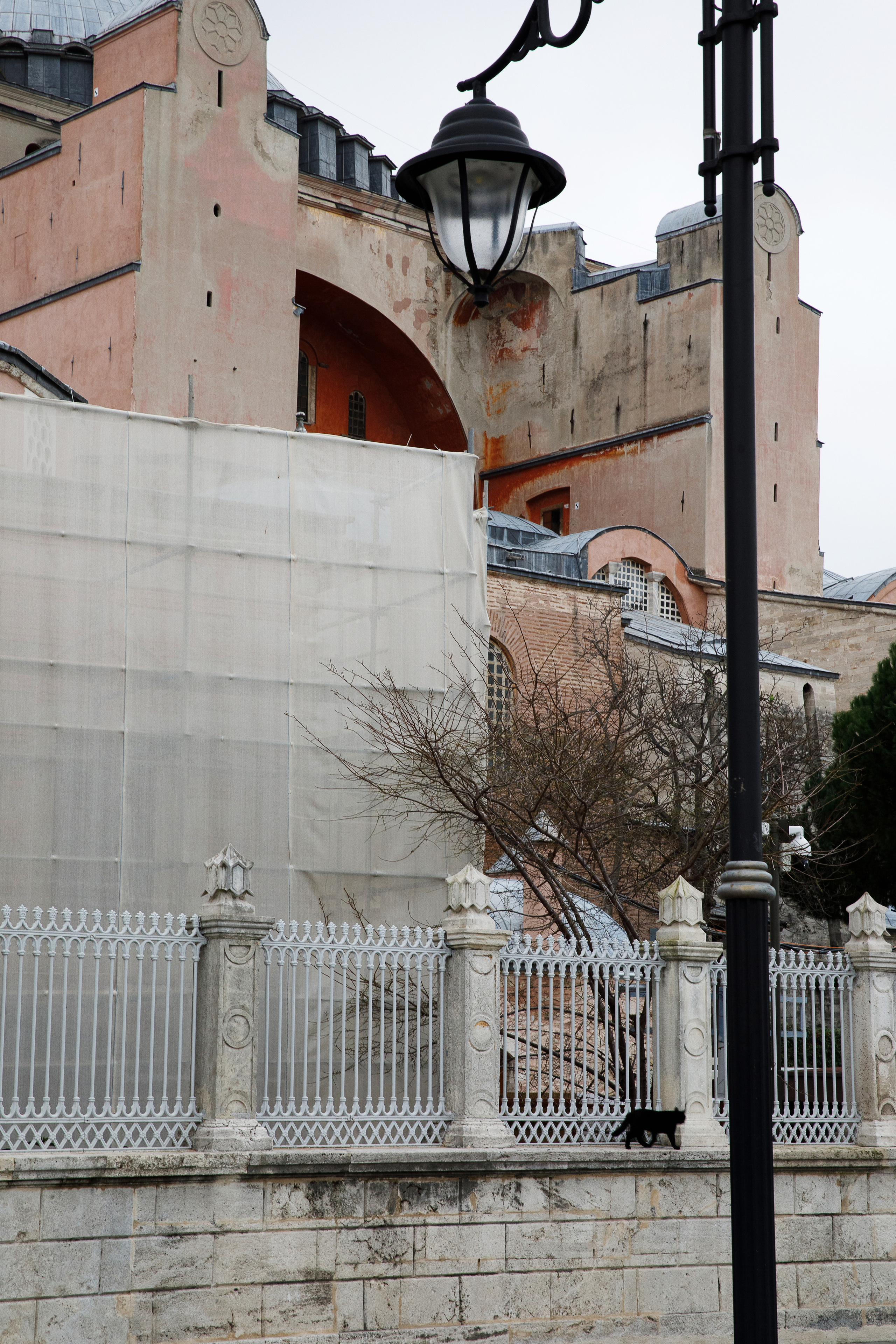 Стамбул. Город кошек. Репортажный и портретный фотограф Русакова Жанна