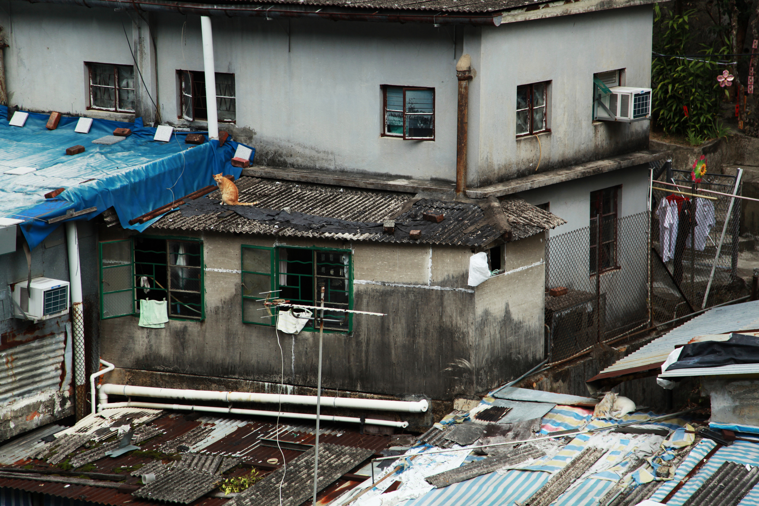 Гон Конг / 2017. Репортажный и портретный фотограф Русакова Жанна