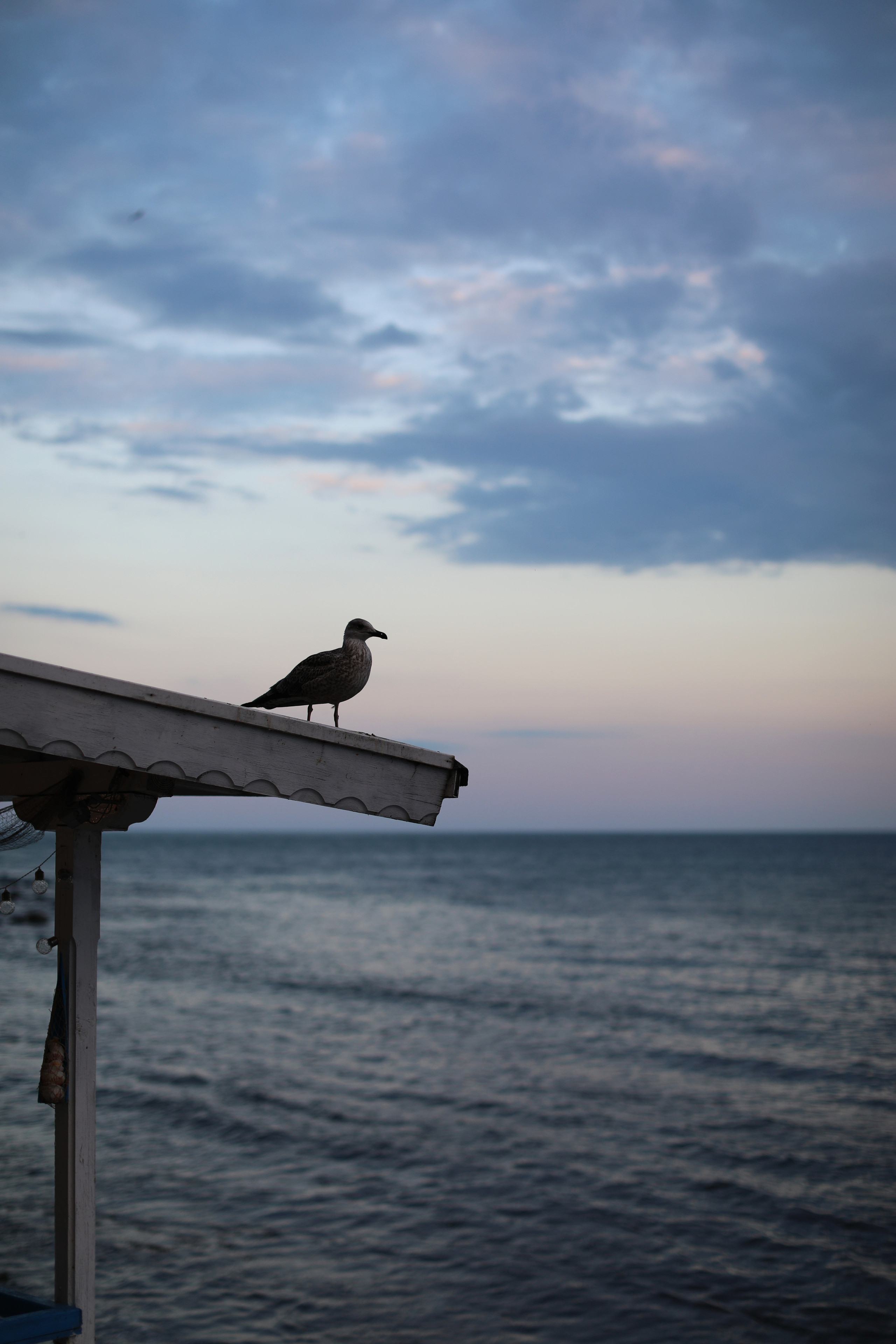 Болгария. Несебр. Репортажный и портретный фотограф Русакова Жанна