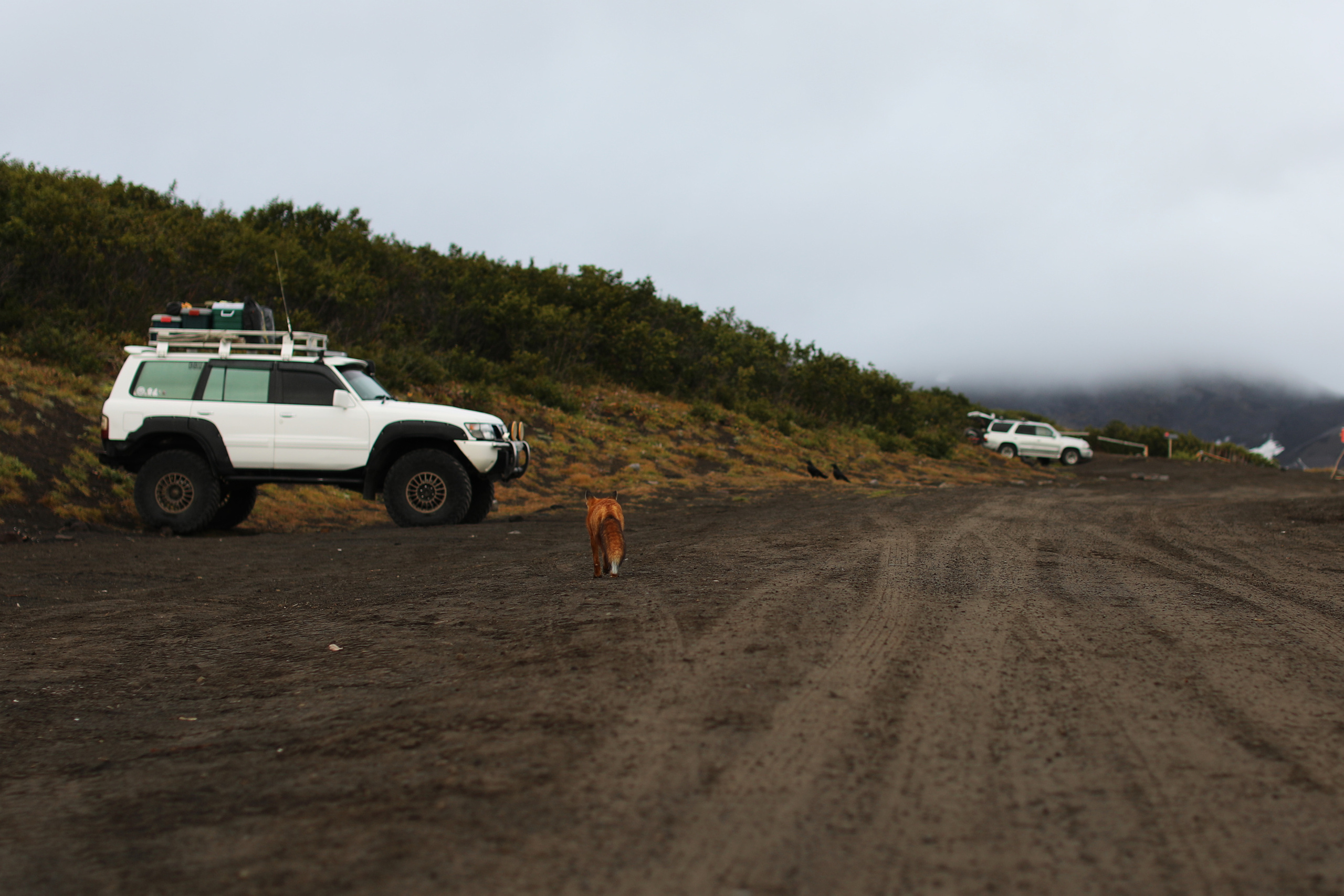 Камчатка. Авачинский перевал. Репортажный и портретный фотограф Русакова Жанна
