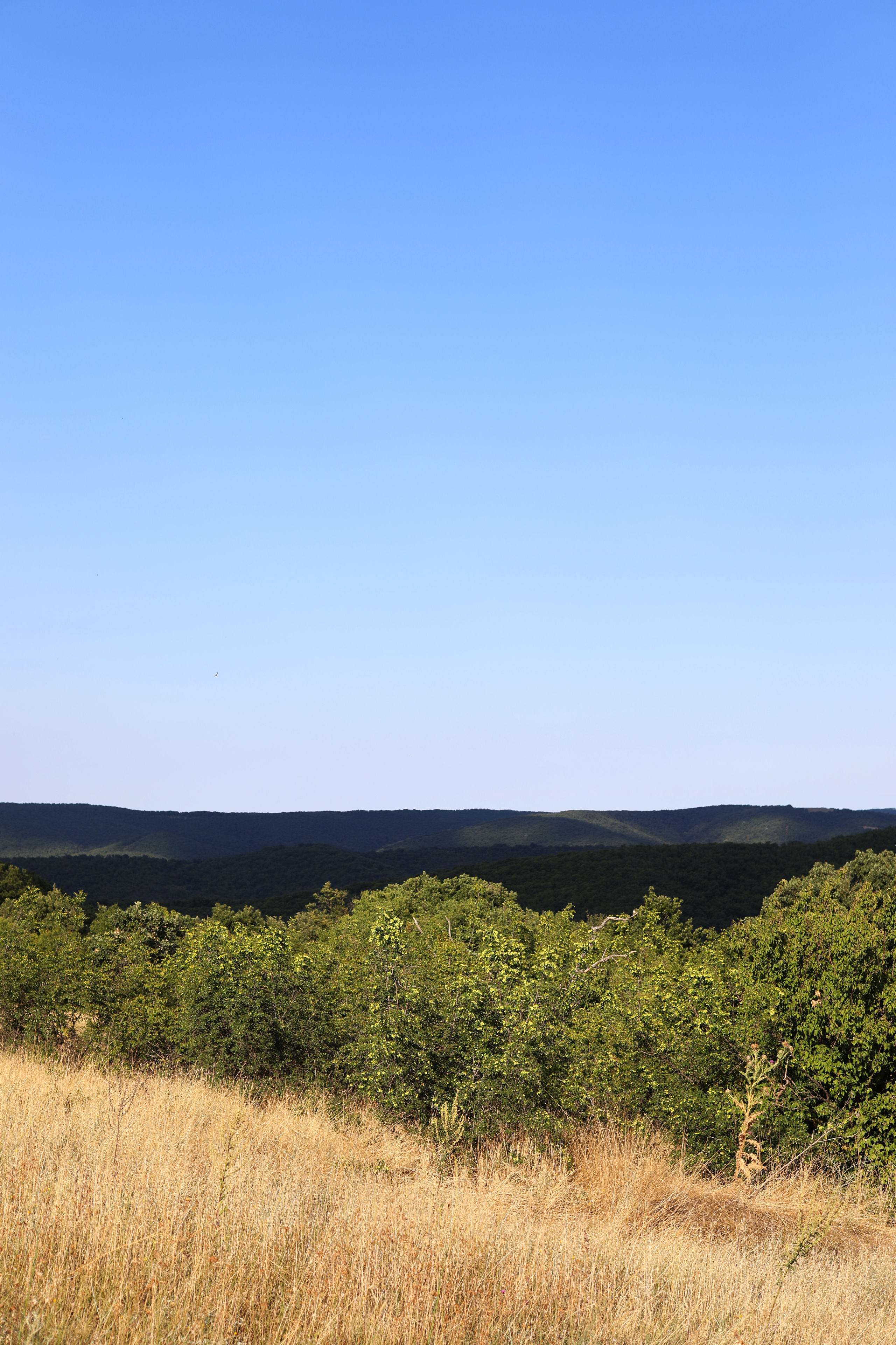 Болгария. Горы / 2022. Репортажный и портретный фотограф Русакова Жанна