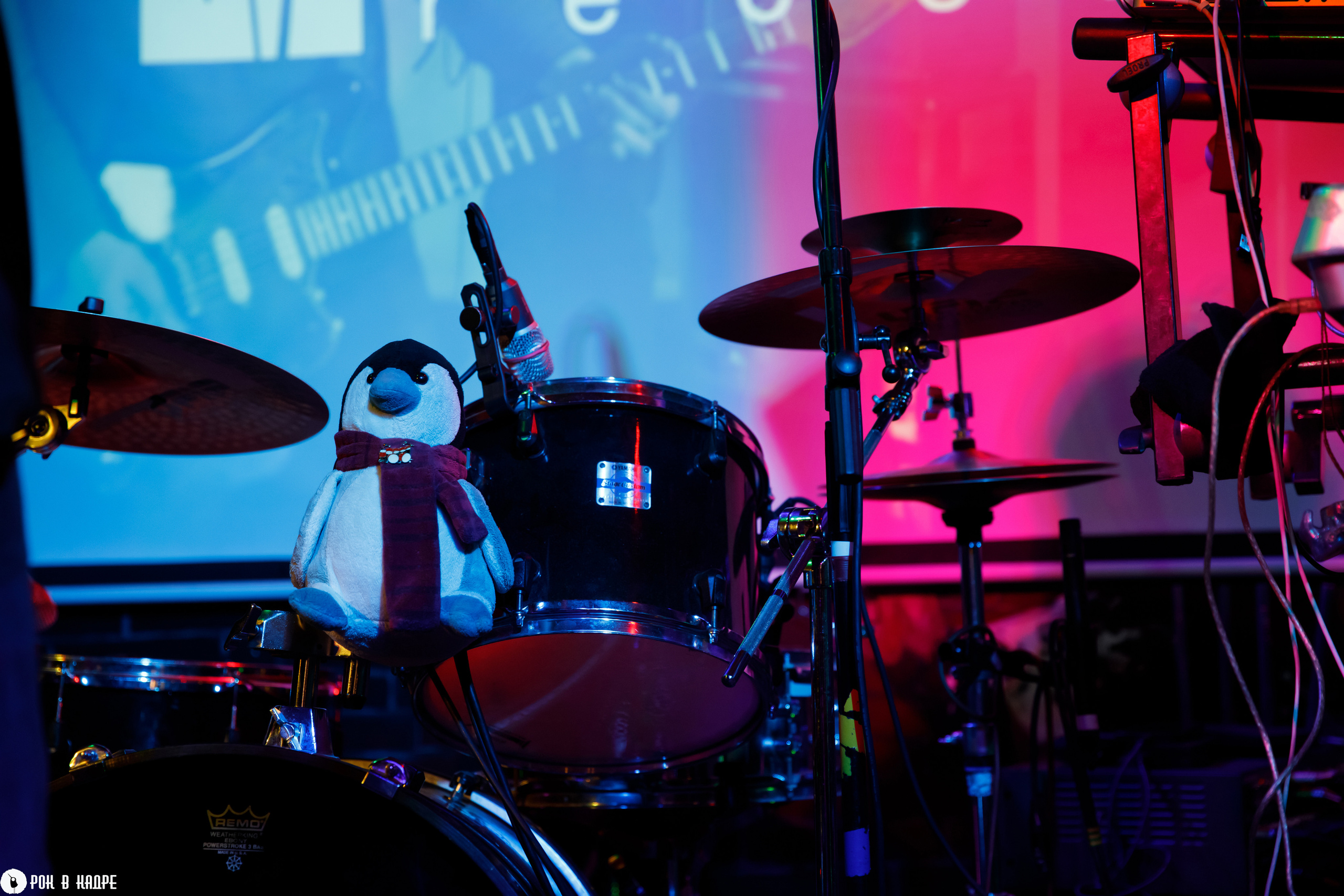 Ключевая /O'Connell's/ 04.05.2023. Репортажный и портретный фотограф Русакова Жанна