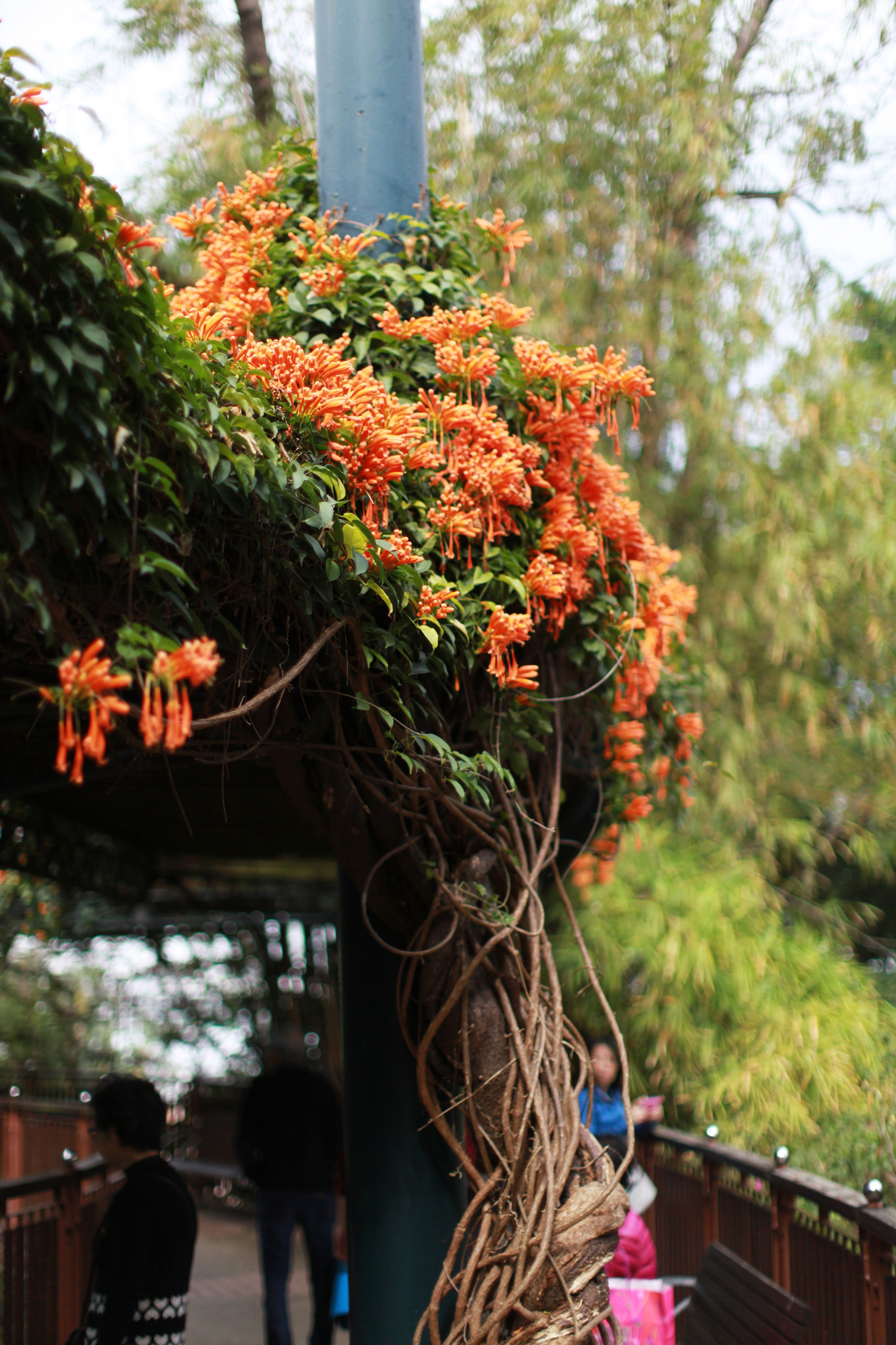 Гон Конг. Быт / 2017. Репортажный и портретный фотограф Русакова Жанна