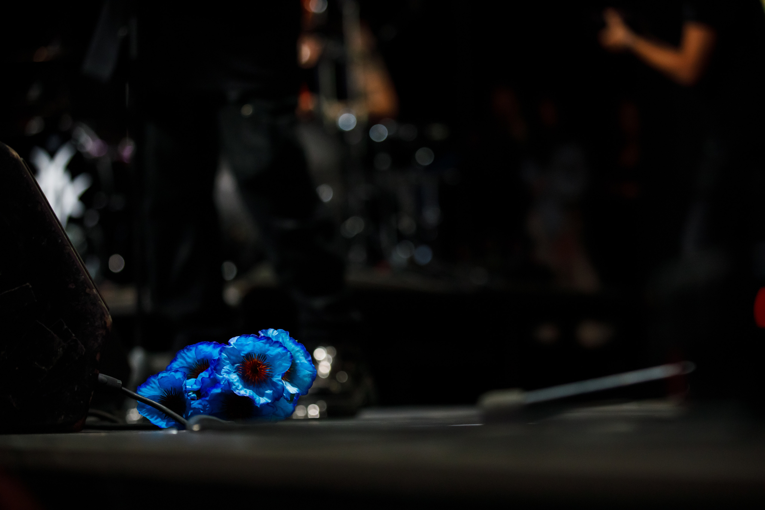 Глеб Самойлов / 23.04.2023 /Известия. Репортажный и портретный фотограф Русакова Жанна