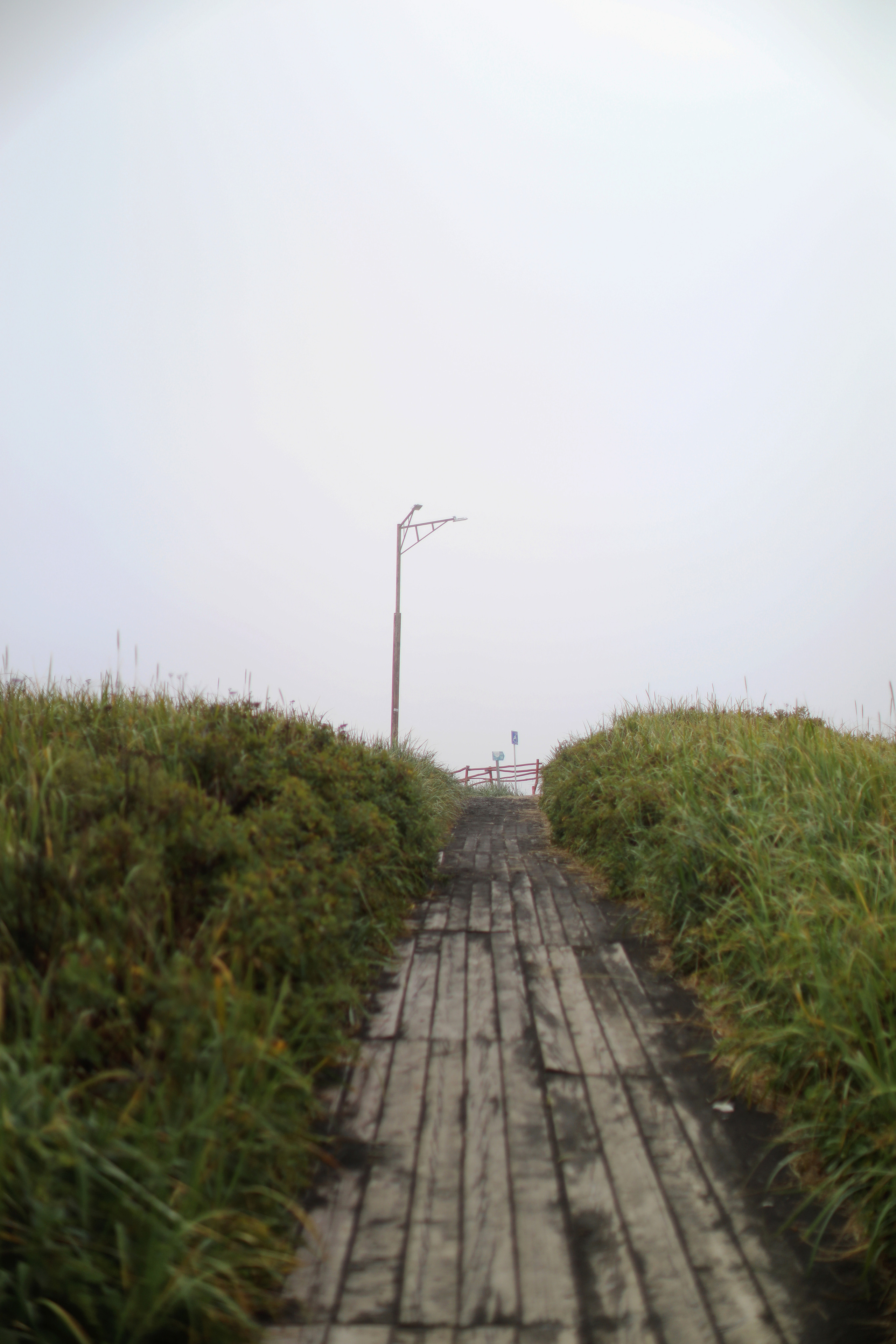 Камчатка. Океан. Туман / 2022. Репортажный и портретный фотограф Русакова Жанна