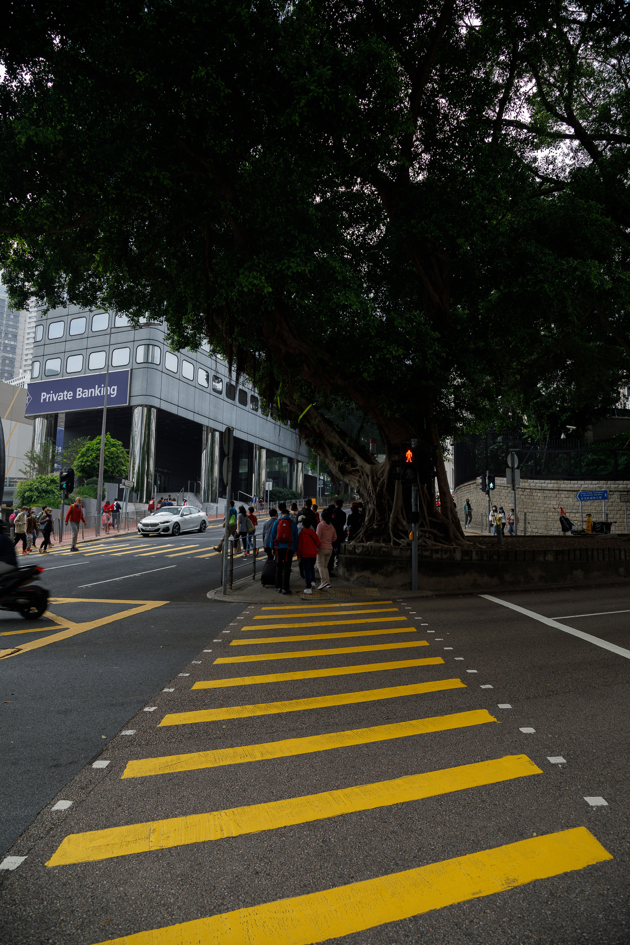 Гон Конг. Город желтых линий. Репортажный и портретный фотограф Русакова Жанна