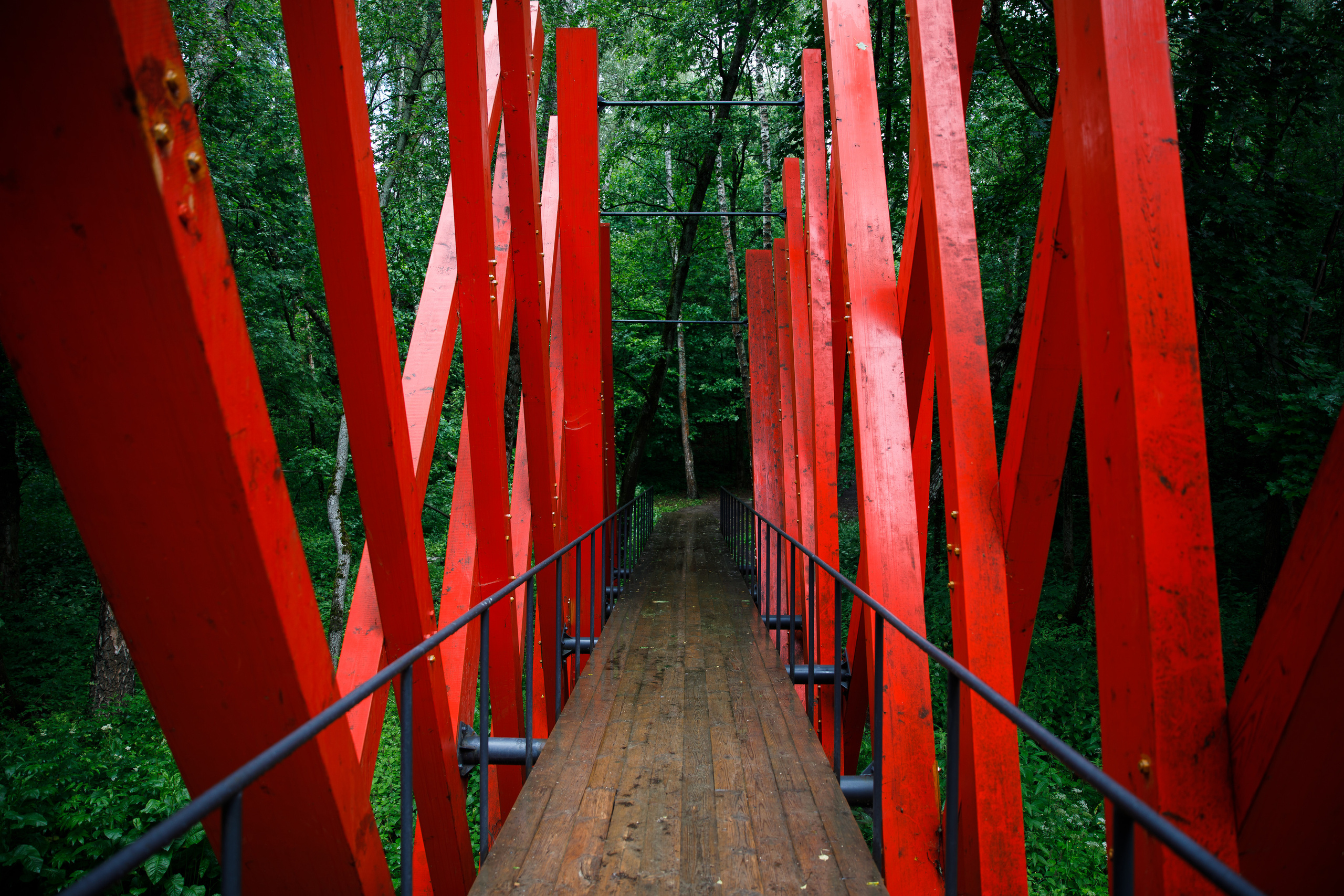 Никола Ленивец / июнь 2023. Репортажный и портретный фотограф Русакова Жанна