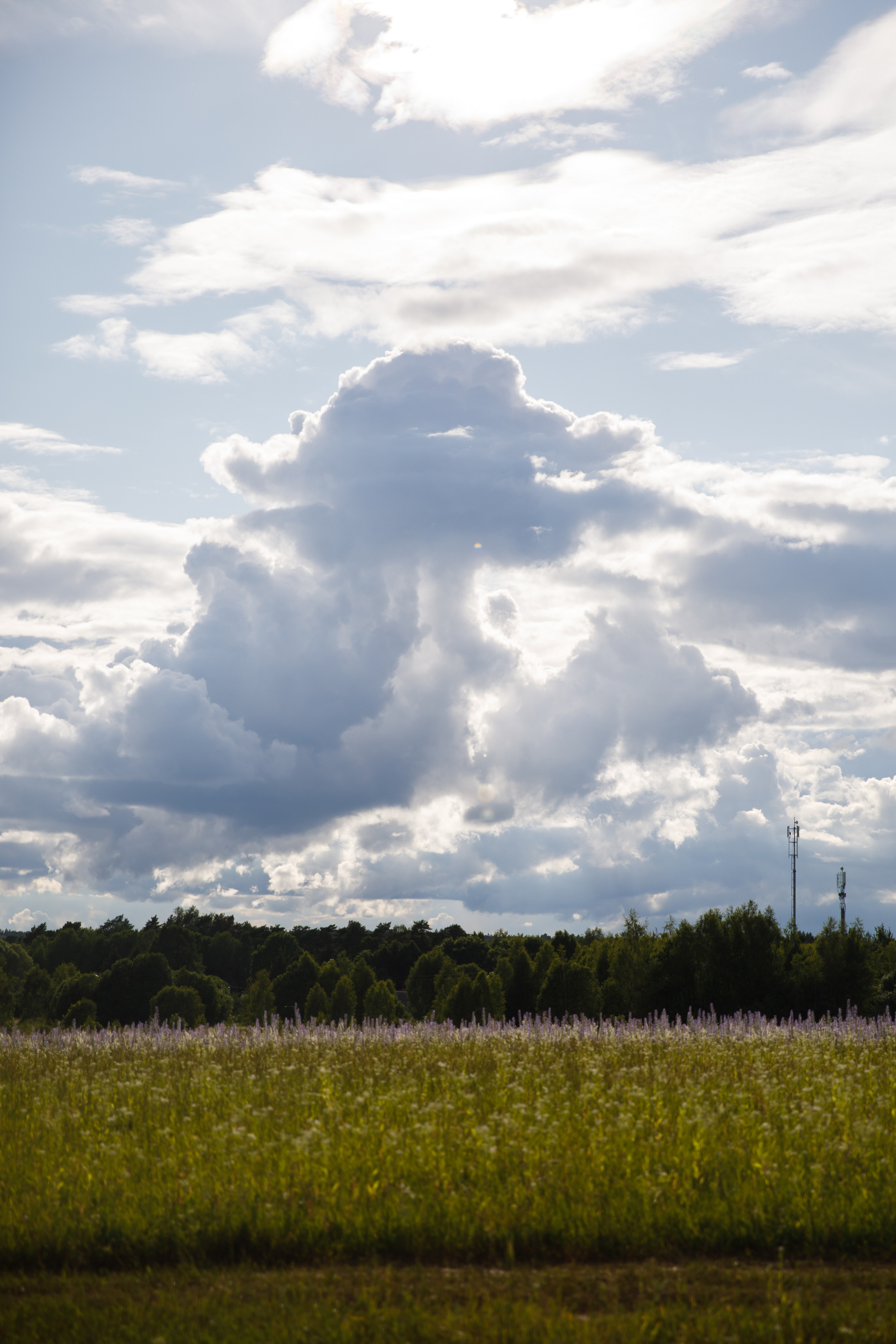 Никола Ленивец / июнь 2023. Репортажный и портретный фотограф Русакова Жанна