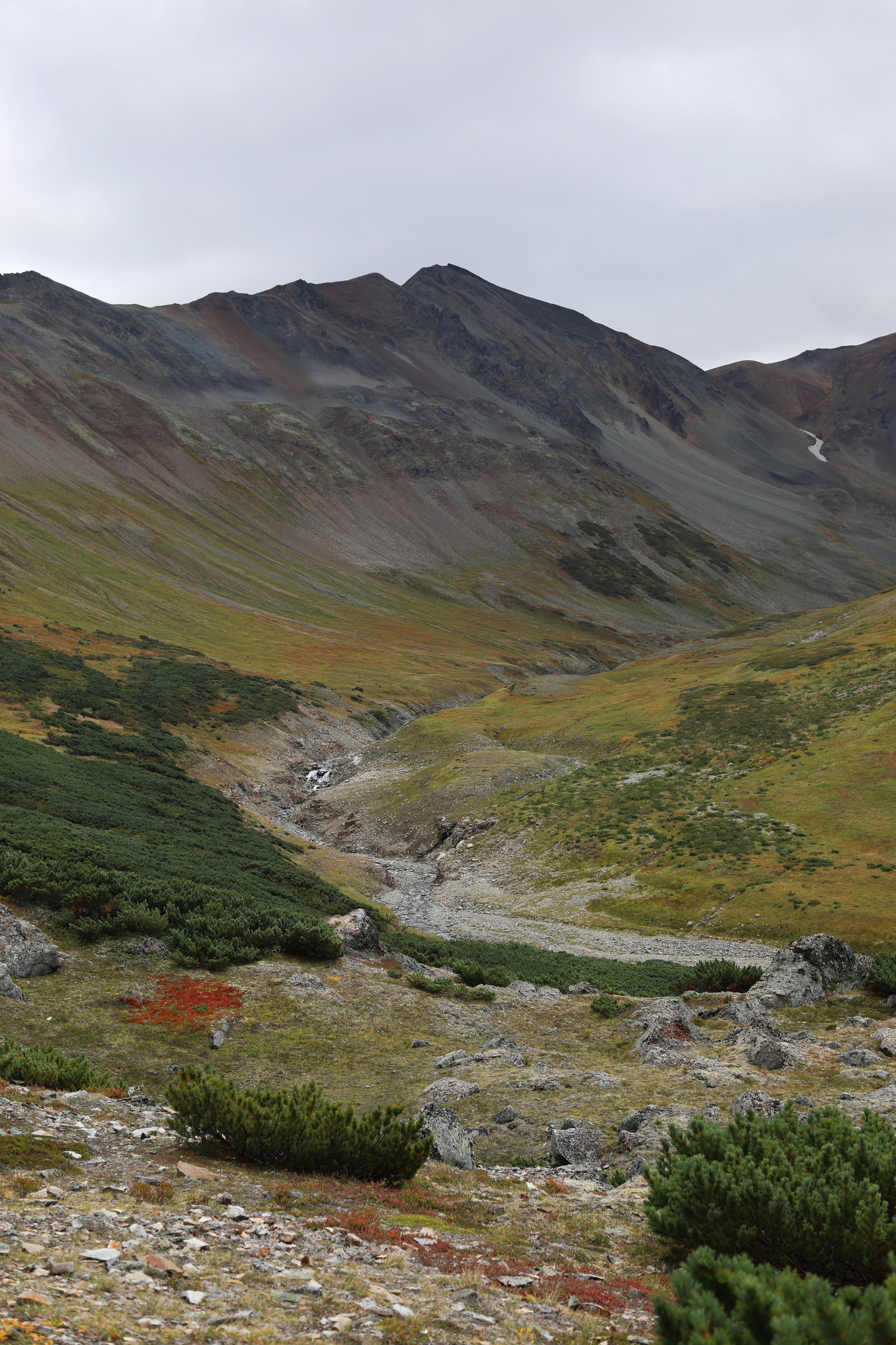 Камчатка. Вачкажец. Репортажный и портретный фотограф Русакова Жанна