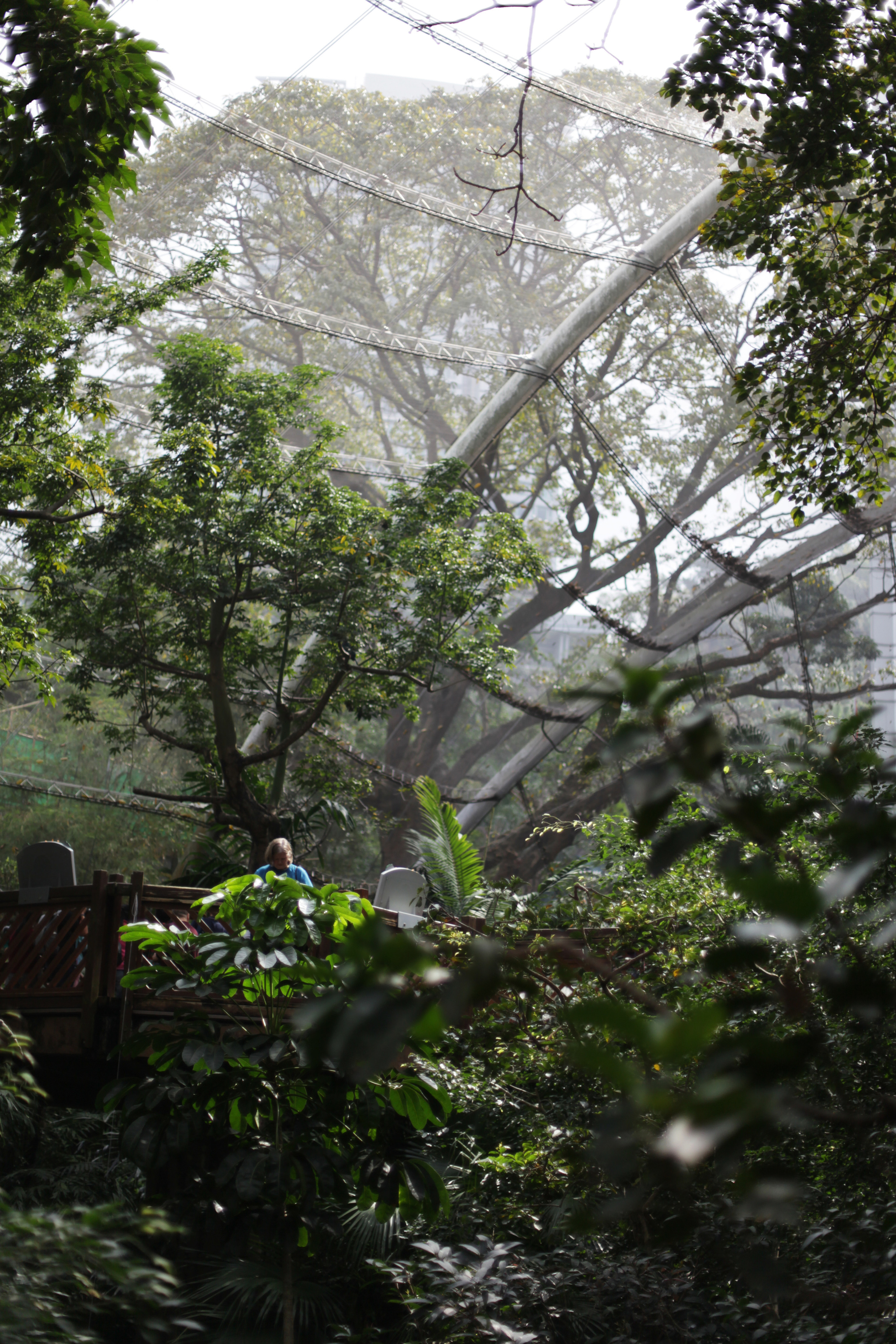 Гон Конг / 2019. Репортажный и портретный фотограф Русакова Жанна