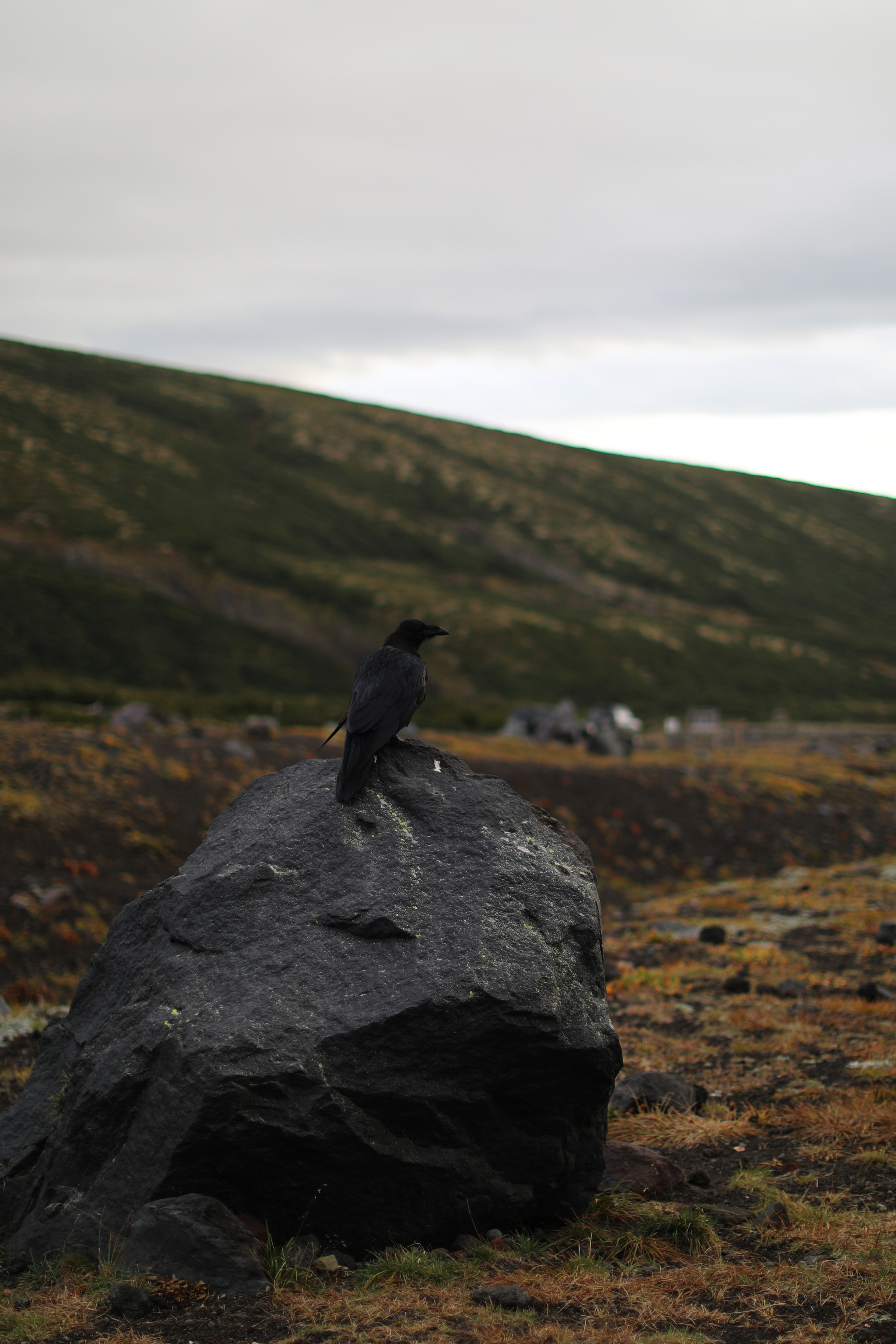 Камчатка. Авачинский перевал. Репортажный и портретный фотограф Русакова Жанна