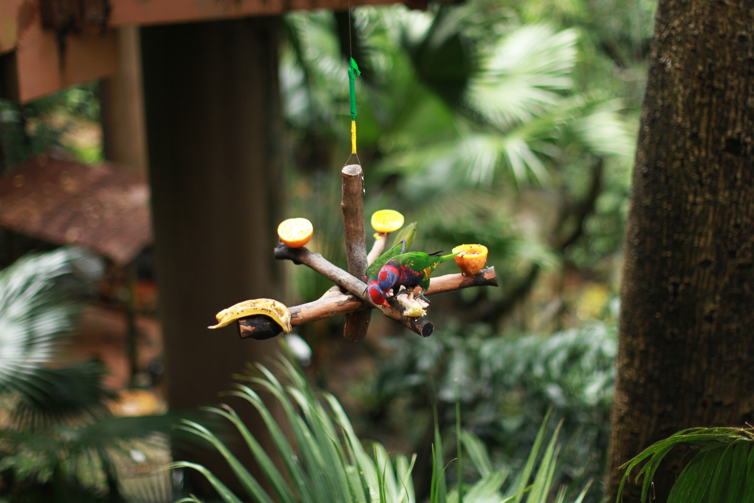 Гон Конг. Быт / 2017. Репортажный и портретный фотограф Русакова Жанна