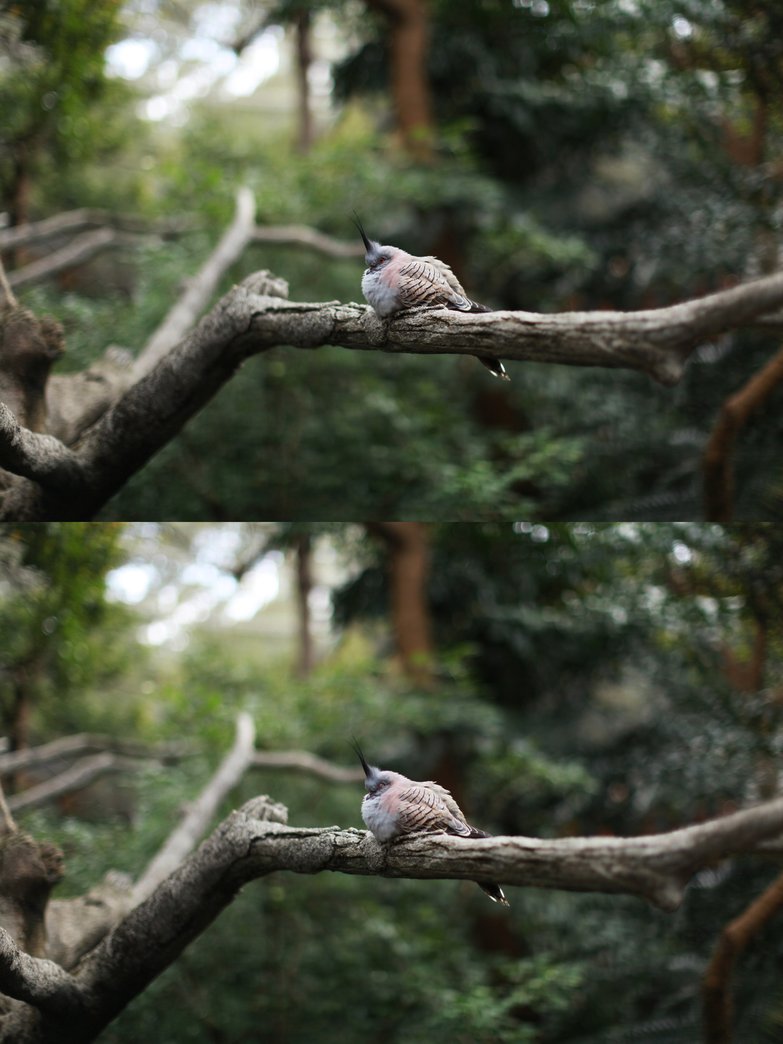 Гон Конг. Быт / 2017. Репортажный и портретный фотограф Русакова Жанна