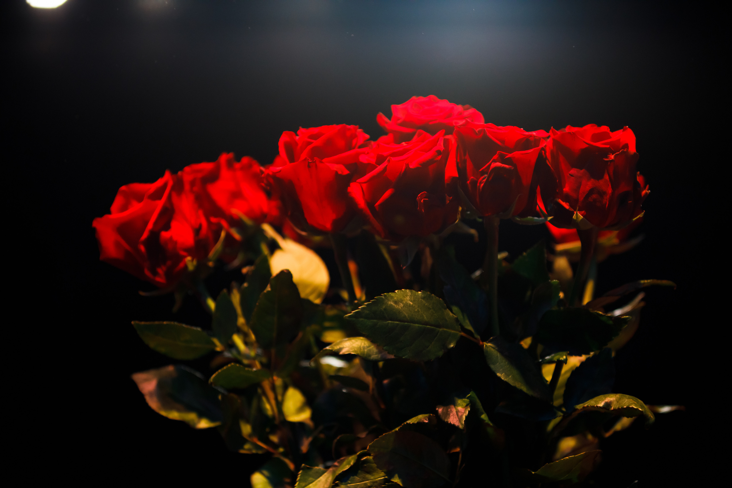 Глеб Самойлов / 23.04.2023 /Известия. Репортажный и портретный фотограф Русакова Жанна