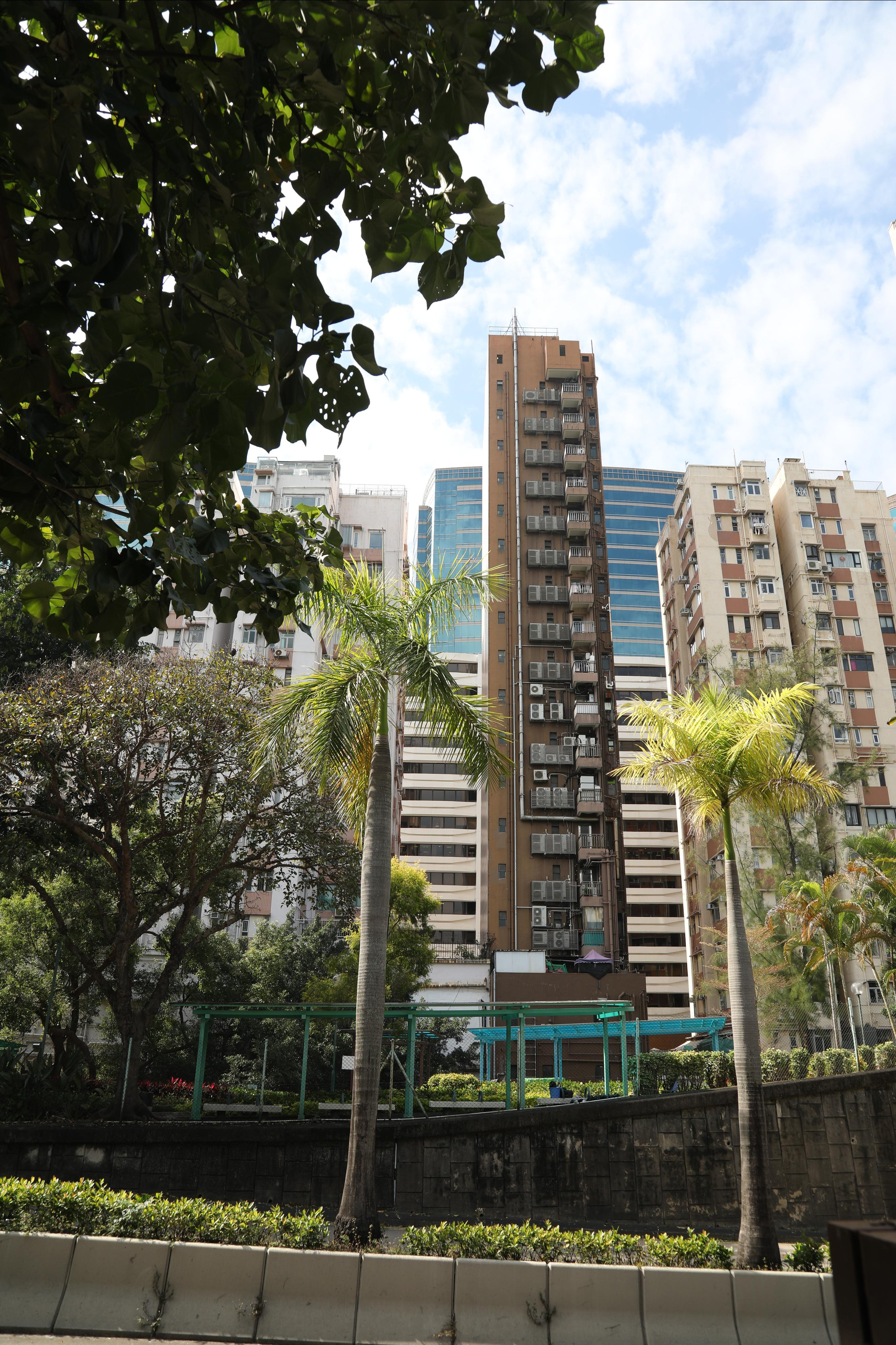 Гон Конг. Зеленый город. Репортажный и портретный фотограф Русакова Жанна