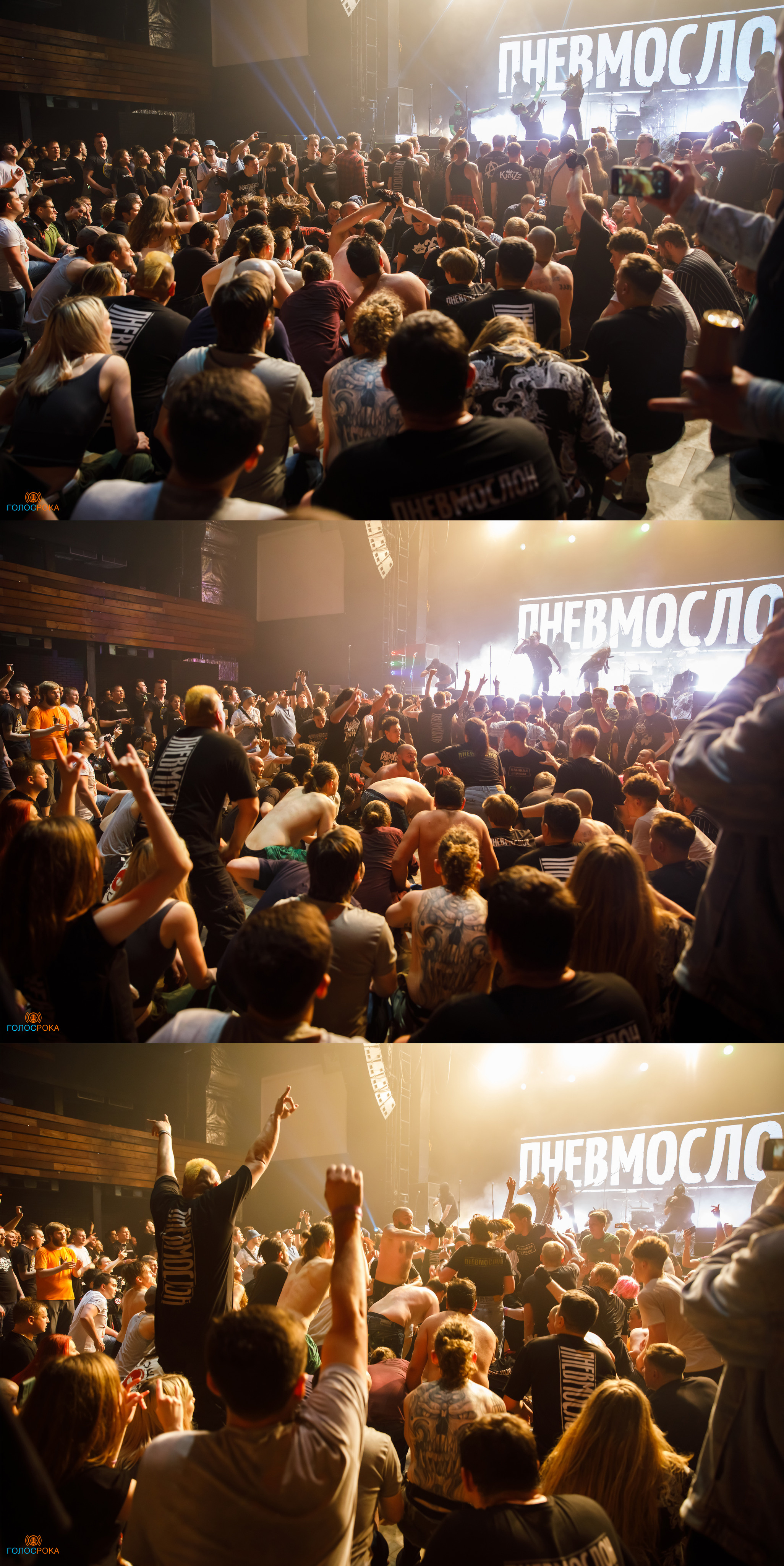 Wild Energy Fest /09.06.2023/ Base. Репортажный и портретный фотограф Русакова Жанна