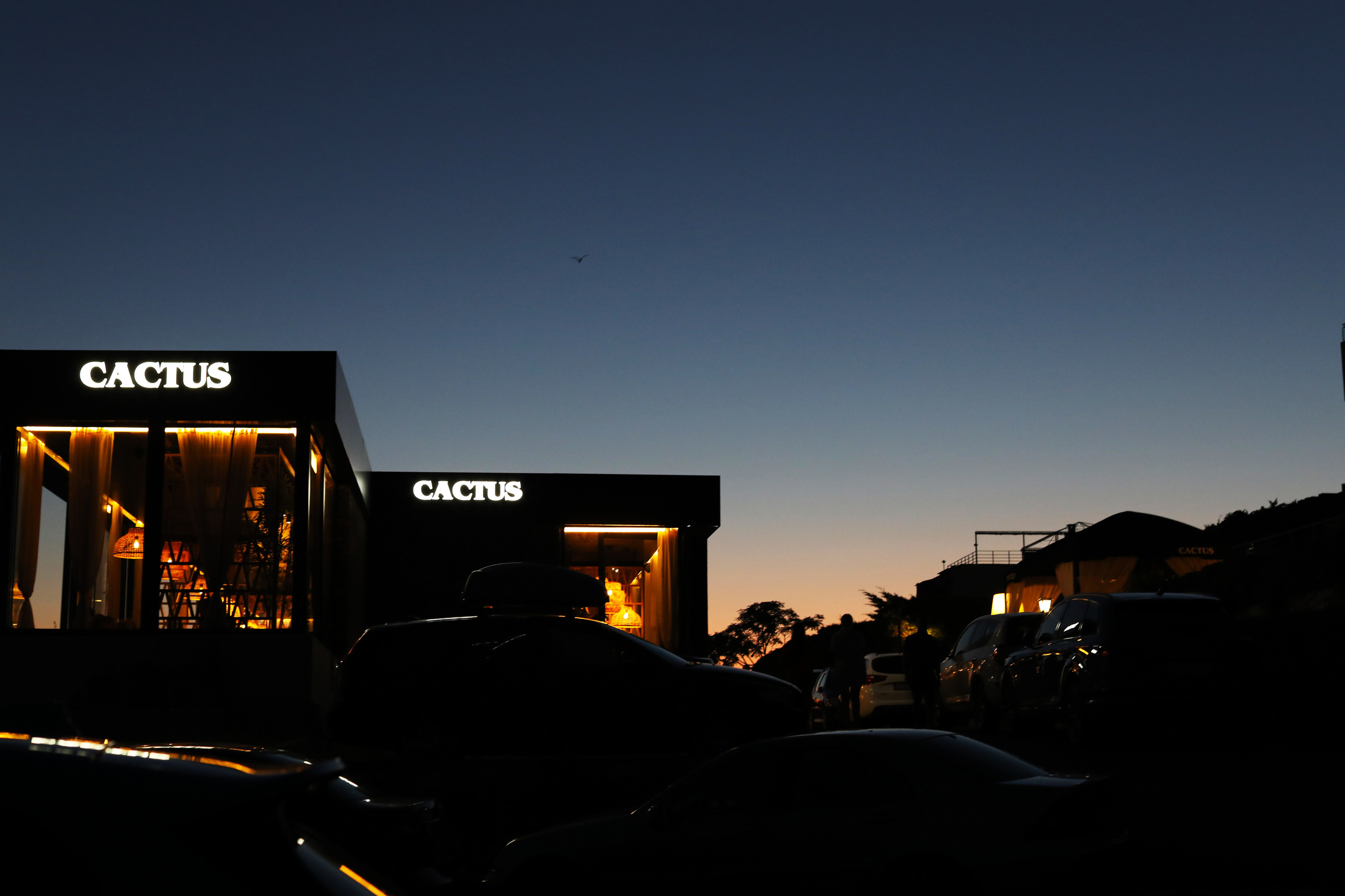 Болгария / 2022. Репортажный и портретный фотограф Русакова Жанна