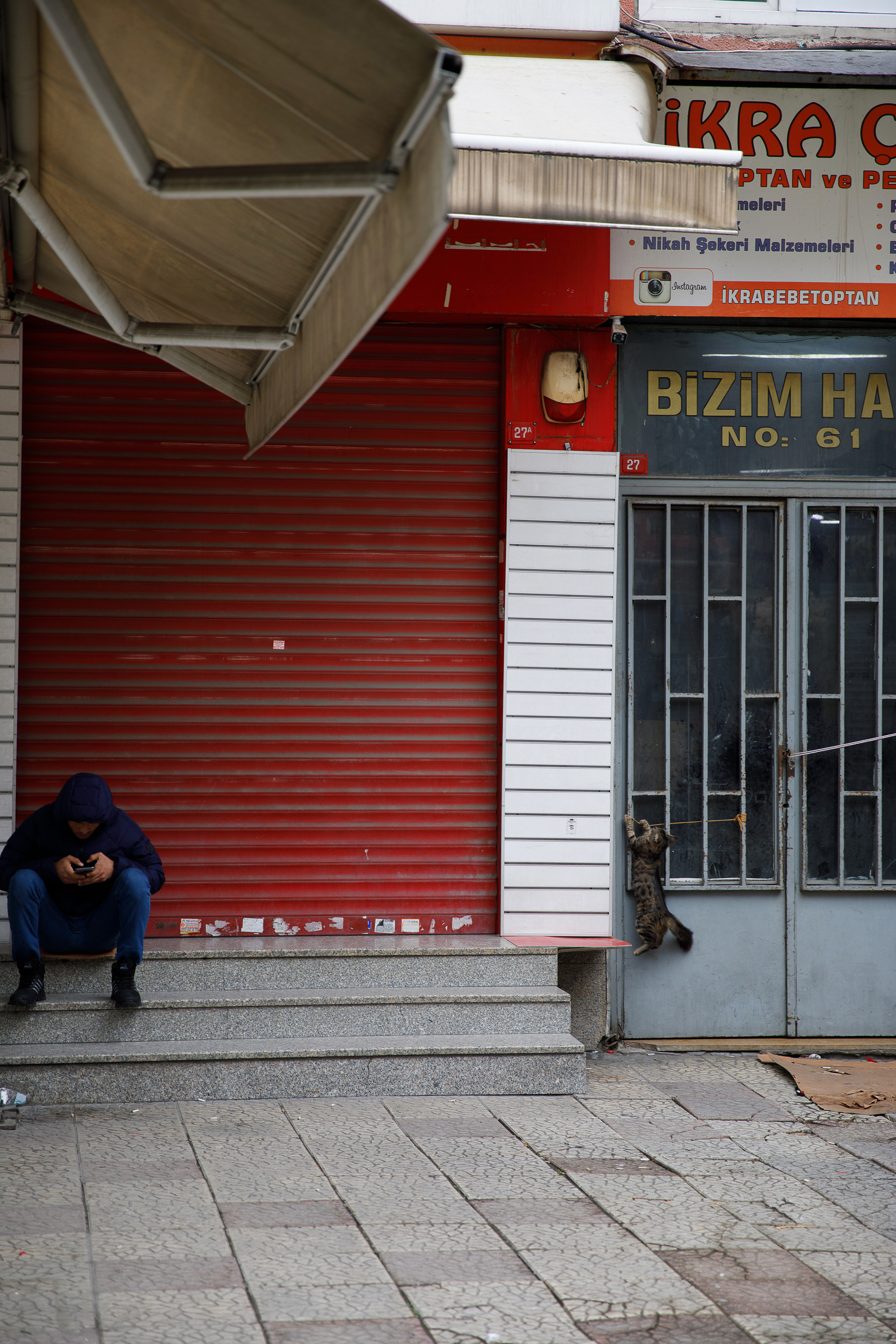 Стамбул. Город кошек. Репортажный и портретный фотограф Русакова Жанна