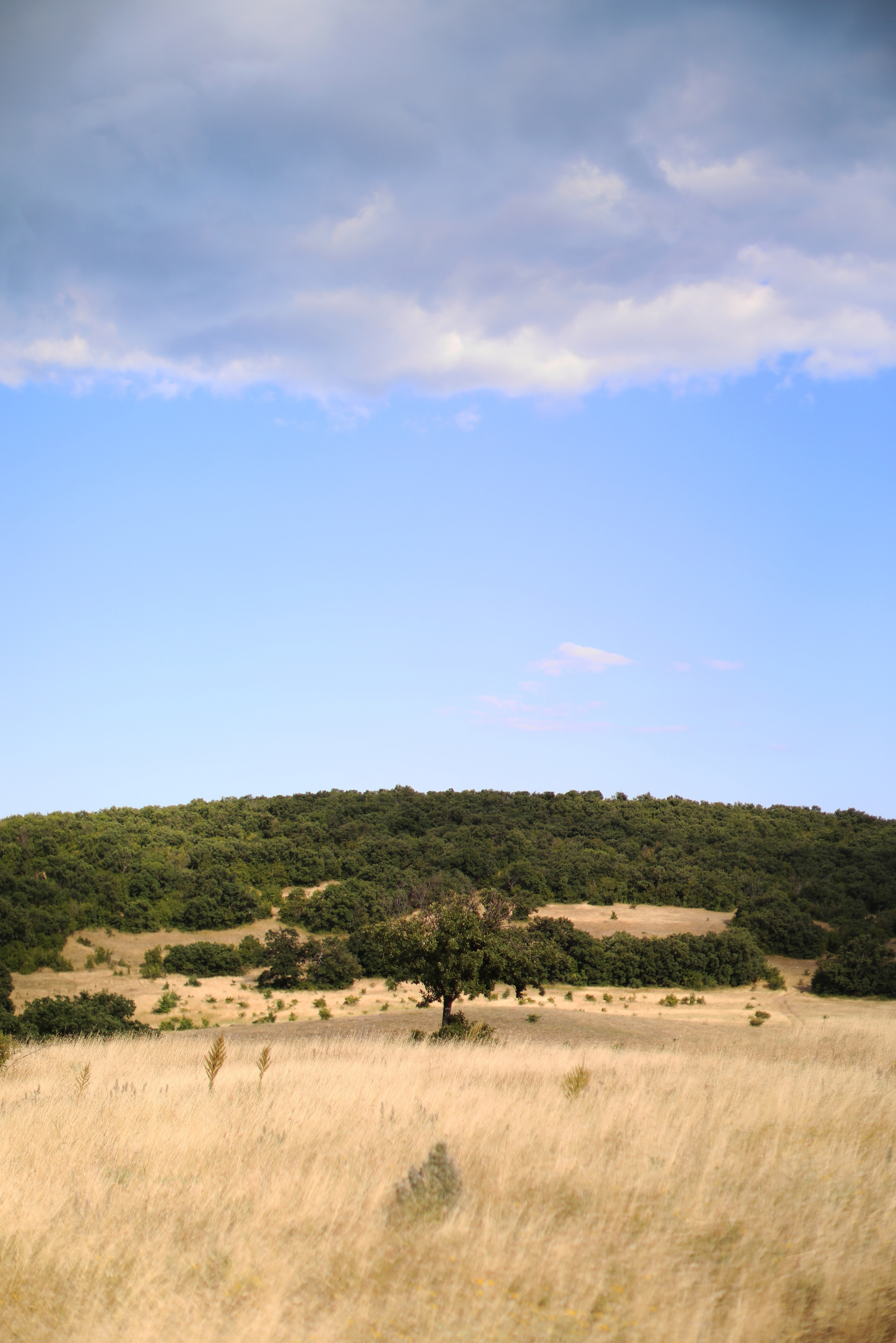 Болгария. Горы / 2022. Репортажный и портретный фотограф Русакова Жанна