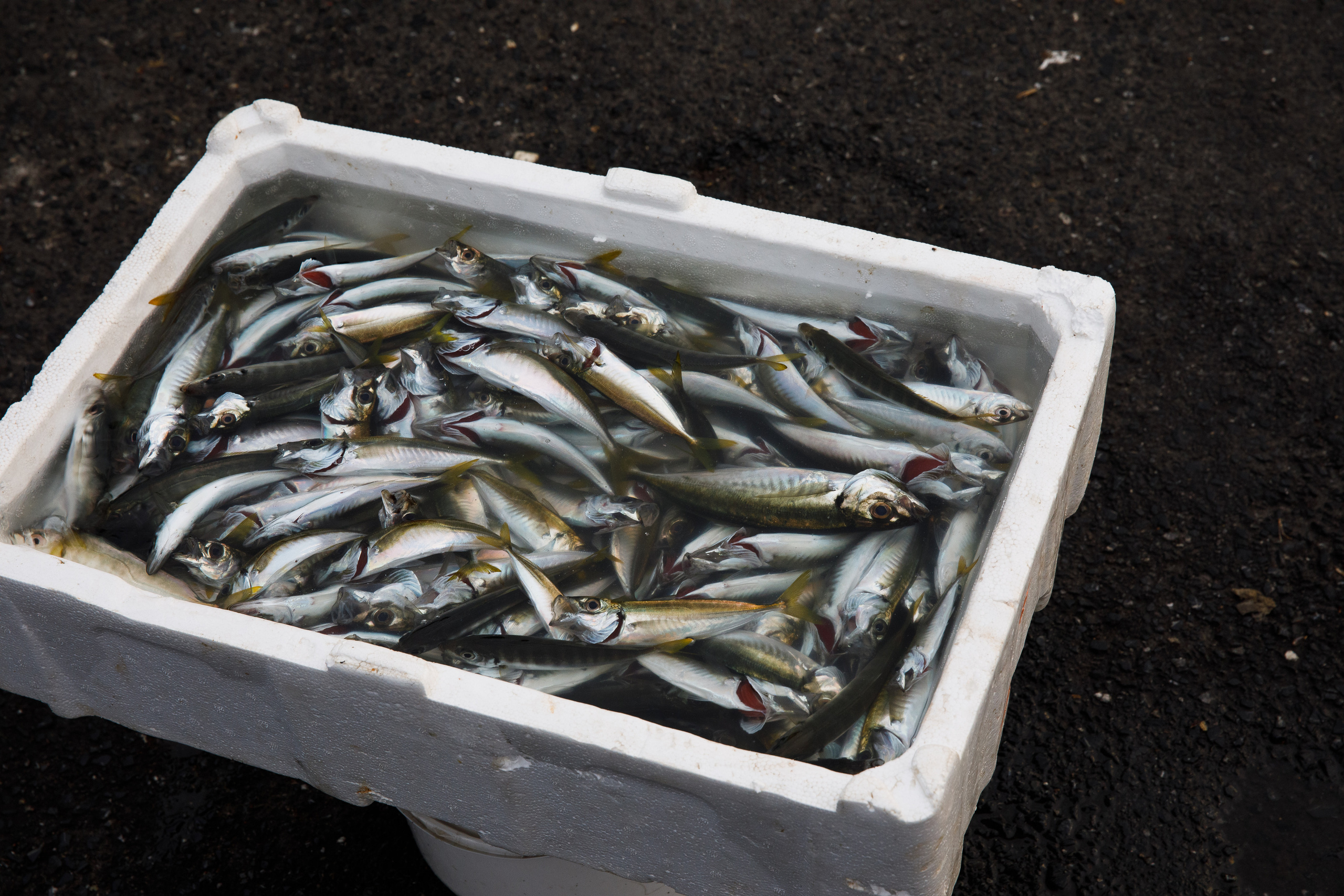 Стамбул. Быт. Репортажный и портретный фотограф Русакова Жанна