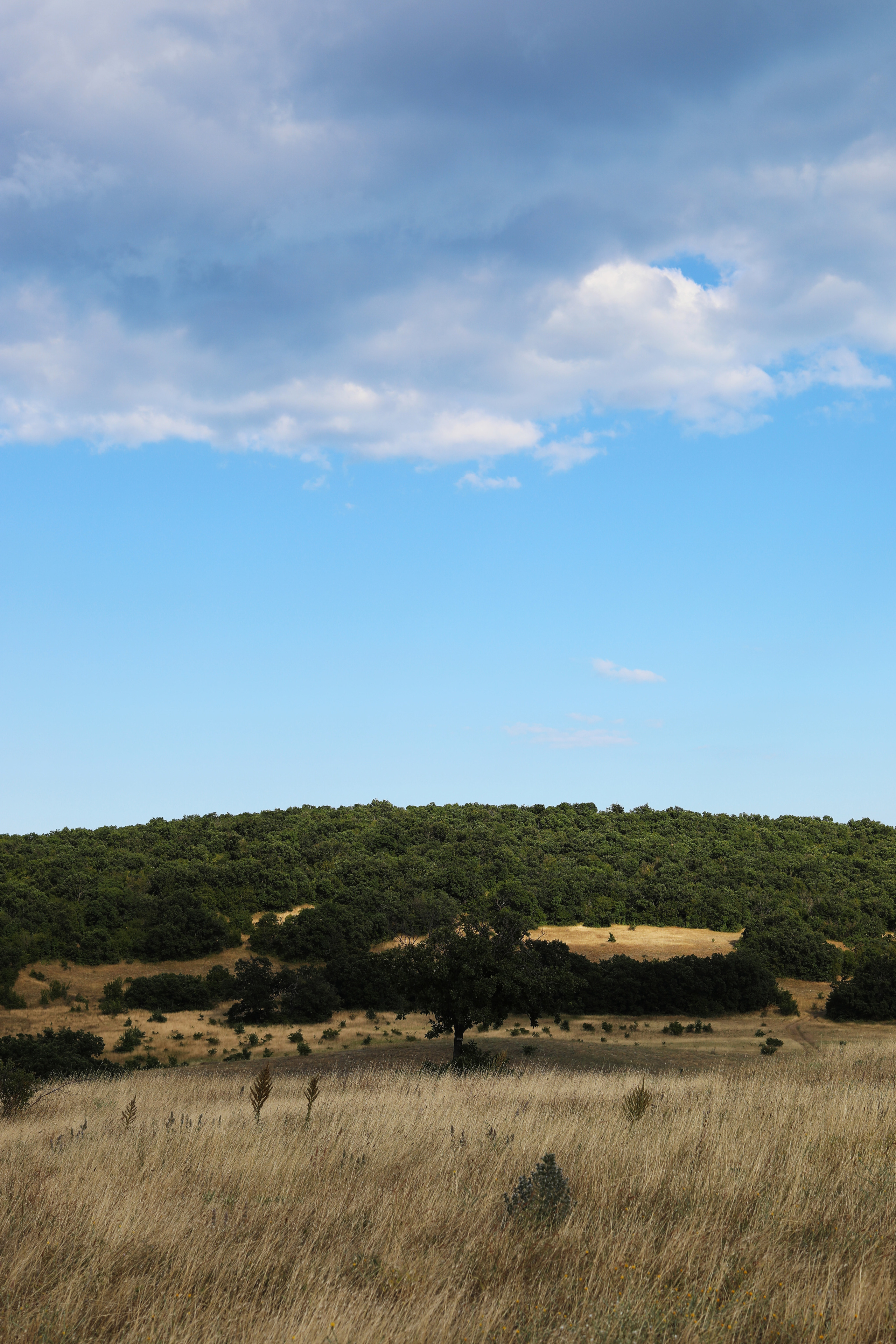 Болгария. Горы / 2022. Репортажный и портретный фотограф Русакова Жанна