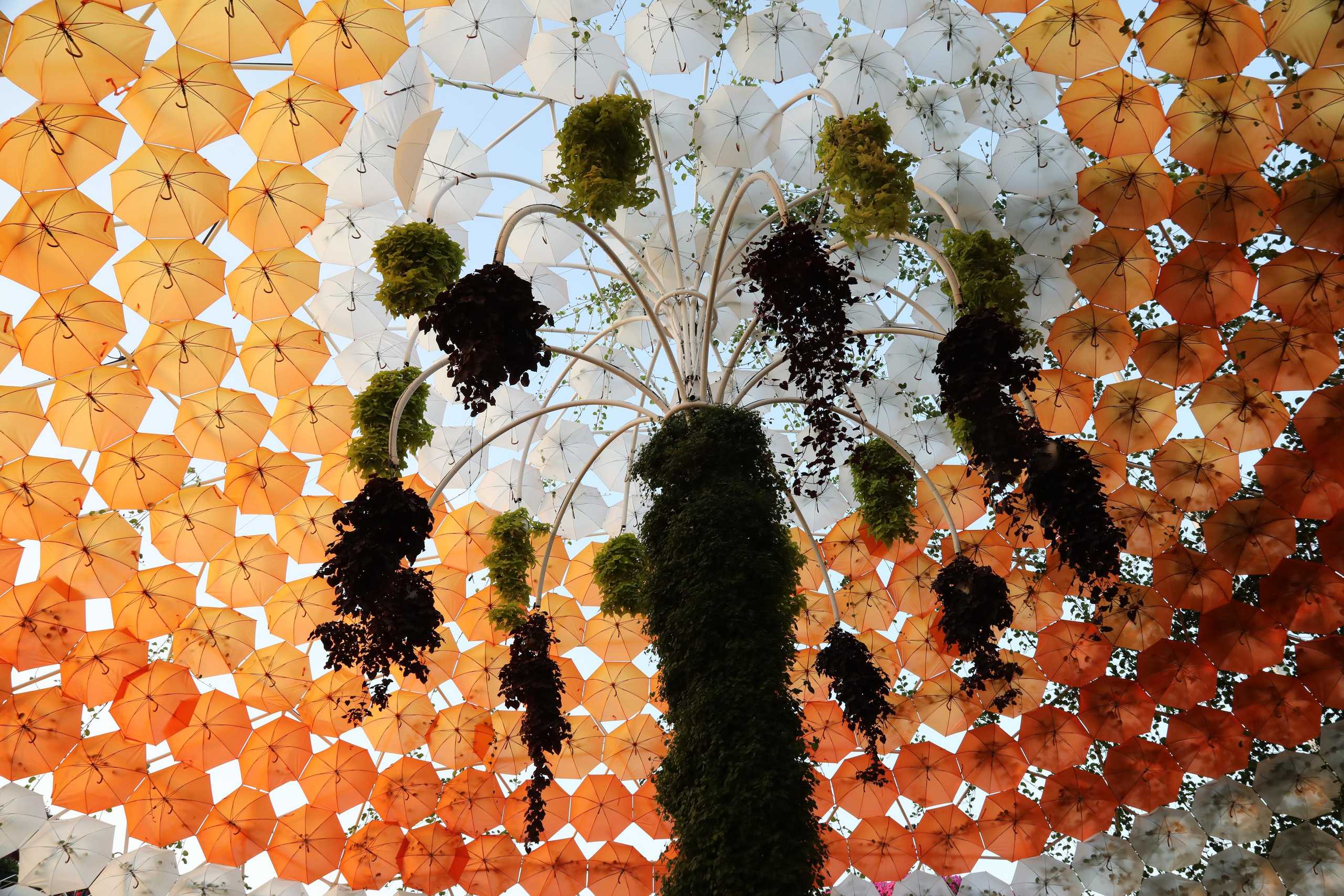 Dubai / 2023. Репортажный и портретный фотограф Русакова Жанна