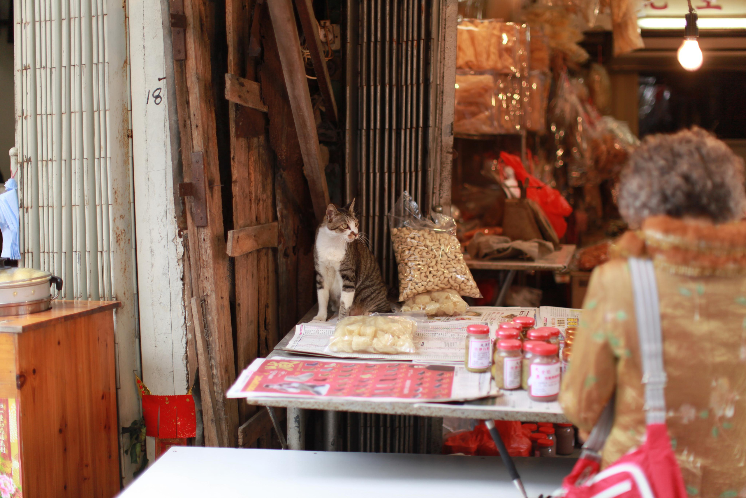 Деревня рядом с Nong Ping Big Buddha / 2017. Репортажный и портретный фотограф Русакова Жанна