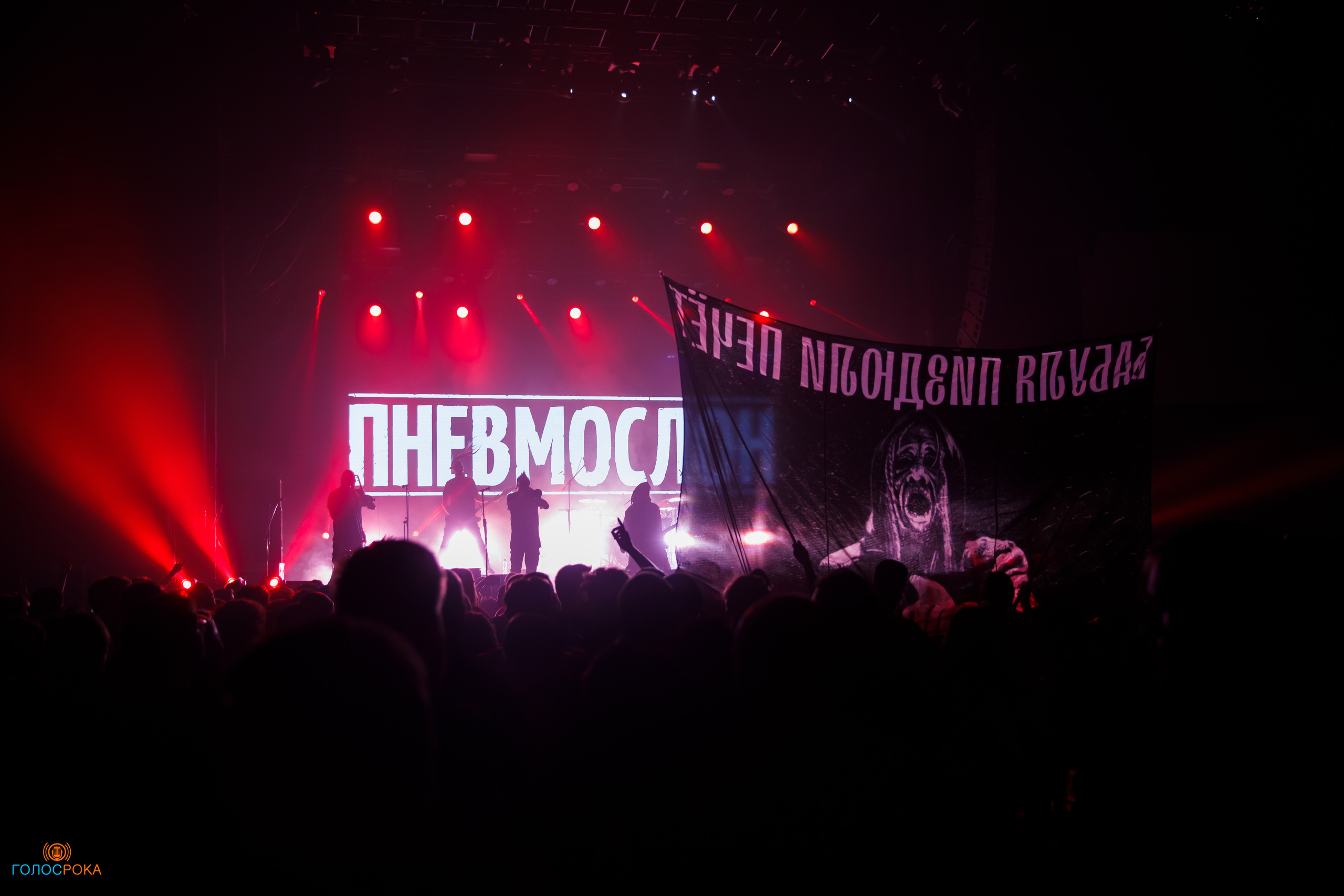 Wild Energy Fest /09.06.2023/ Base. Репортажный и портретный фотограф Русакова Жанна