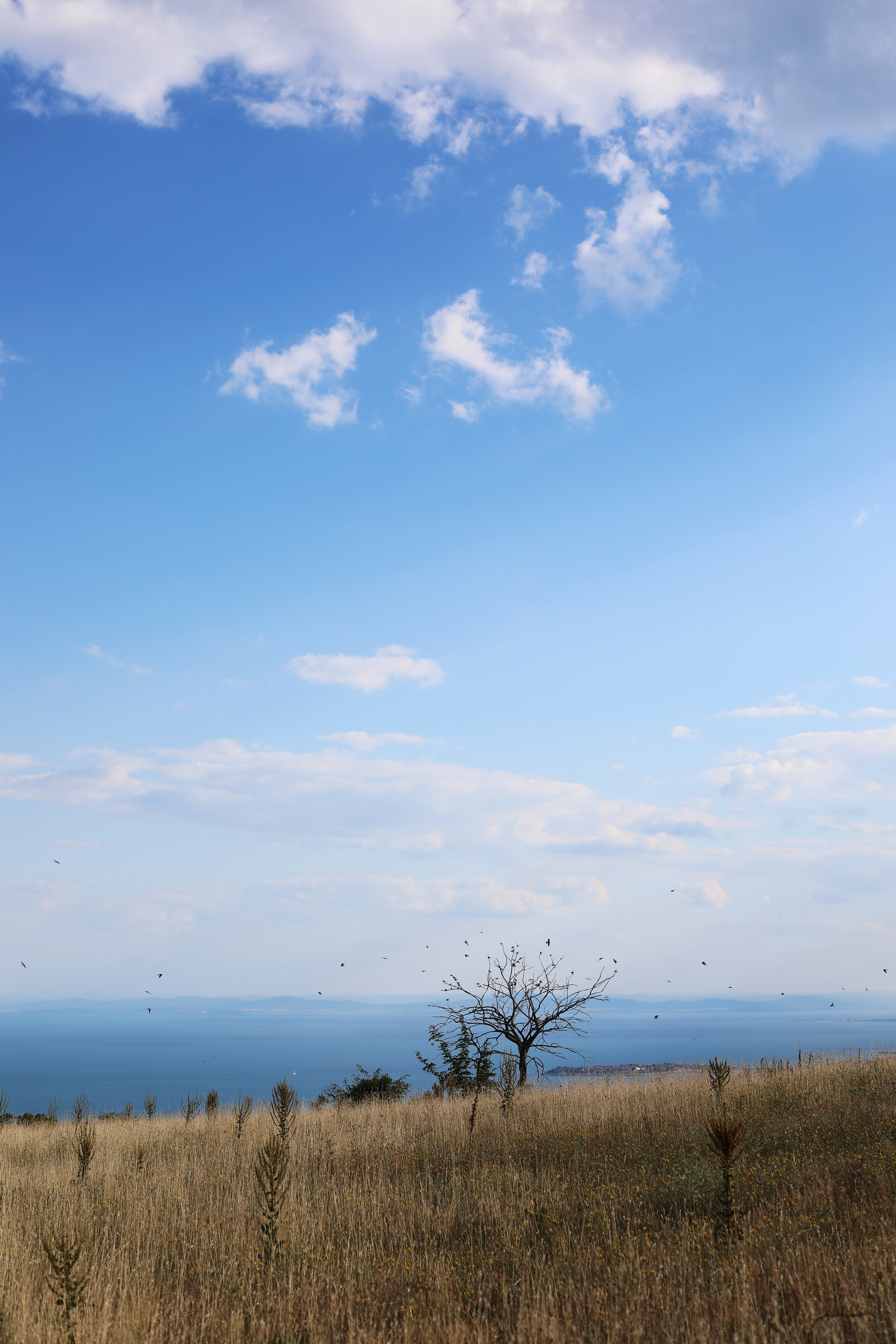 Болгария. Горы / 2022. Репортажный и портретный фотограф Русакова Жанна