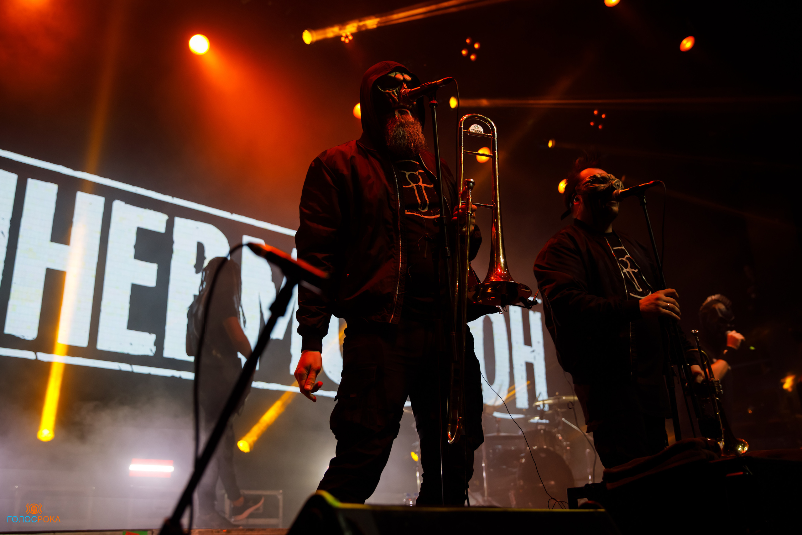 Wild Energy Fest /09.06.2023/ Base. Репортажный и портретный фотограф Русакова Жанна